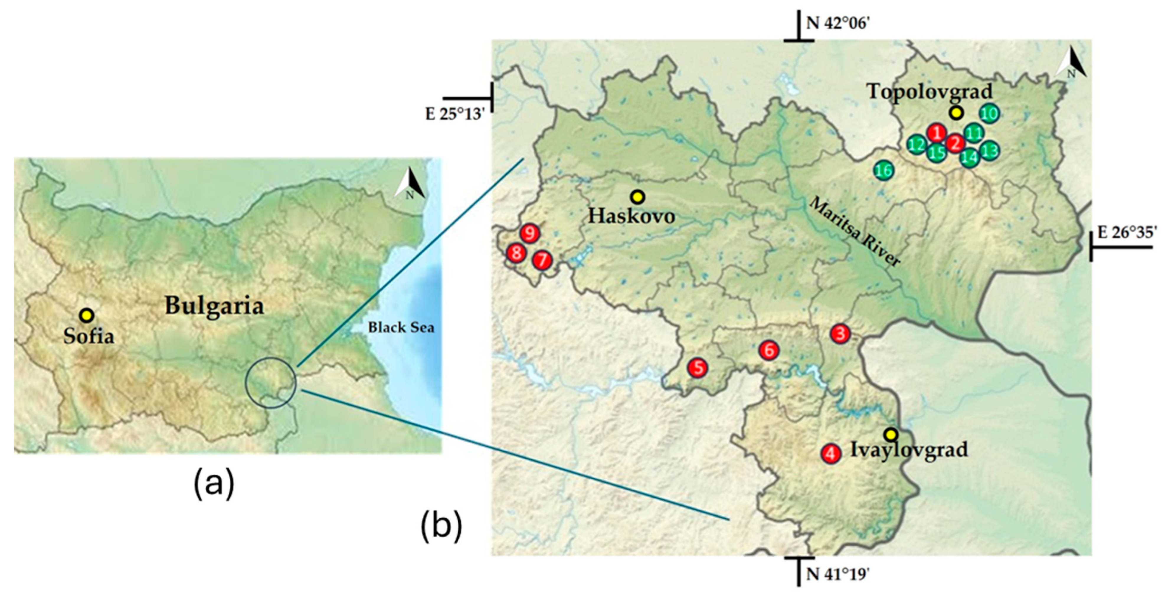 Life 15 01451 g001 Life 15 01451 g001