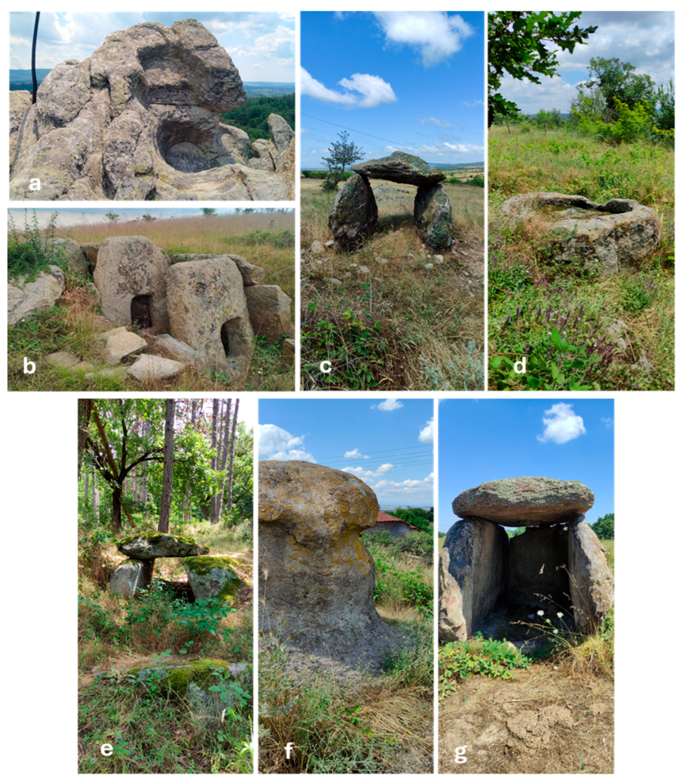 Life 15 01451 g002 Life 15 01451 g002