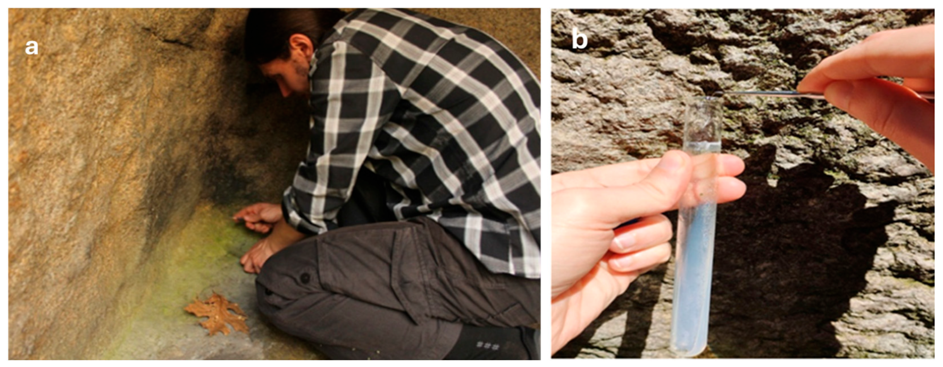 Life 15 01451 g003 Life 15 01451 g003