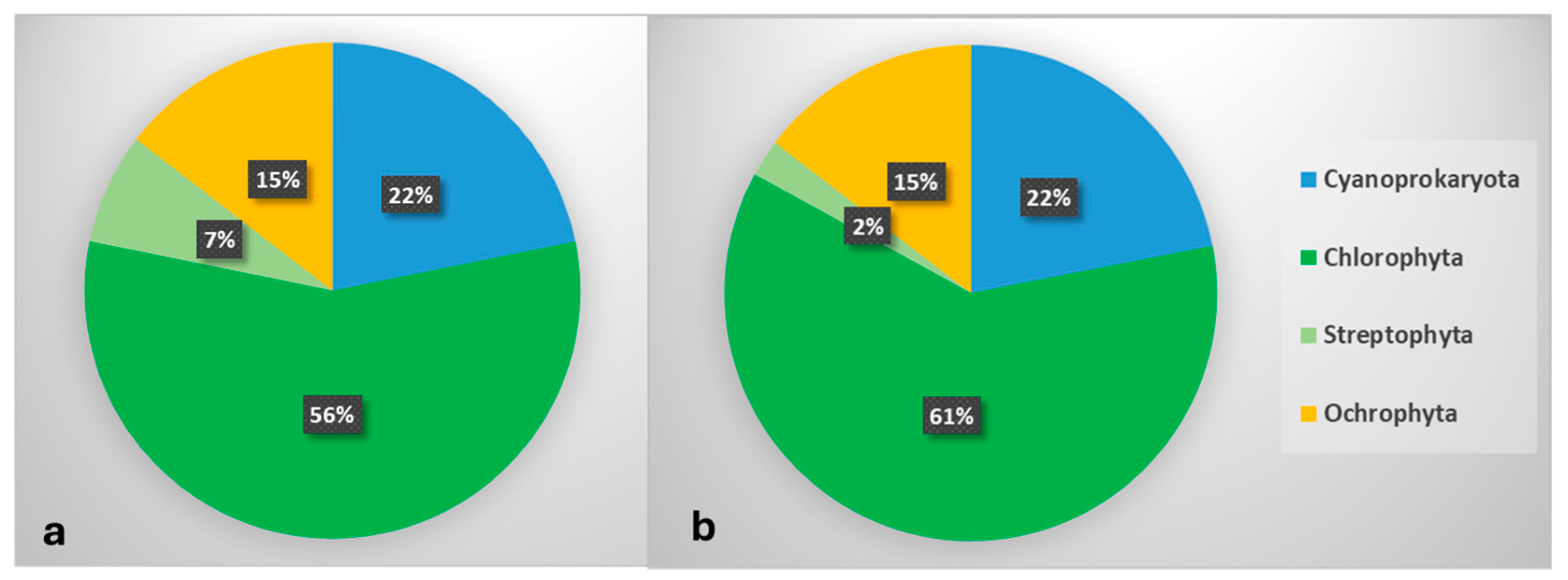Life 15 01451 g004 Life 15 01451 g004
