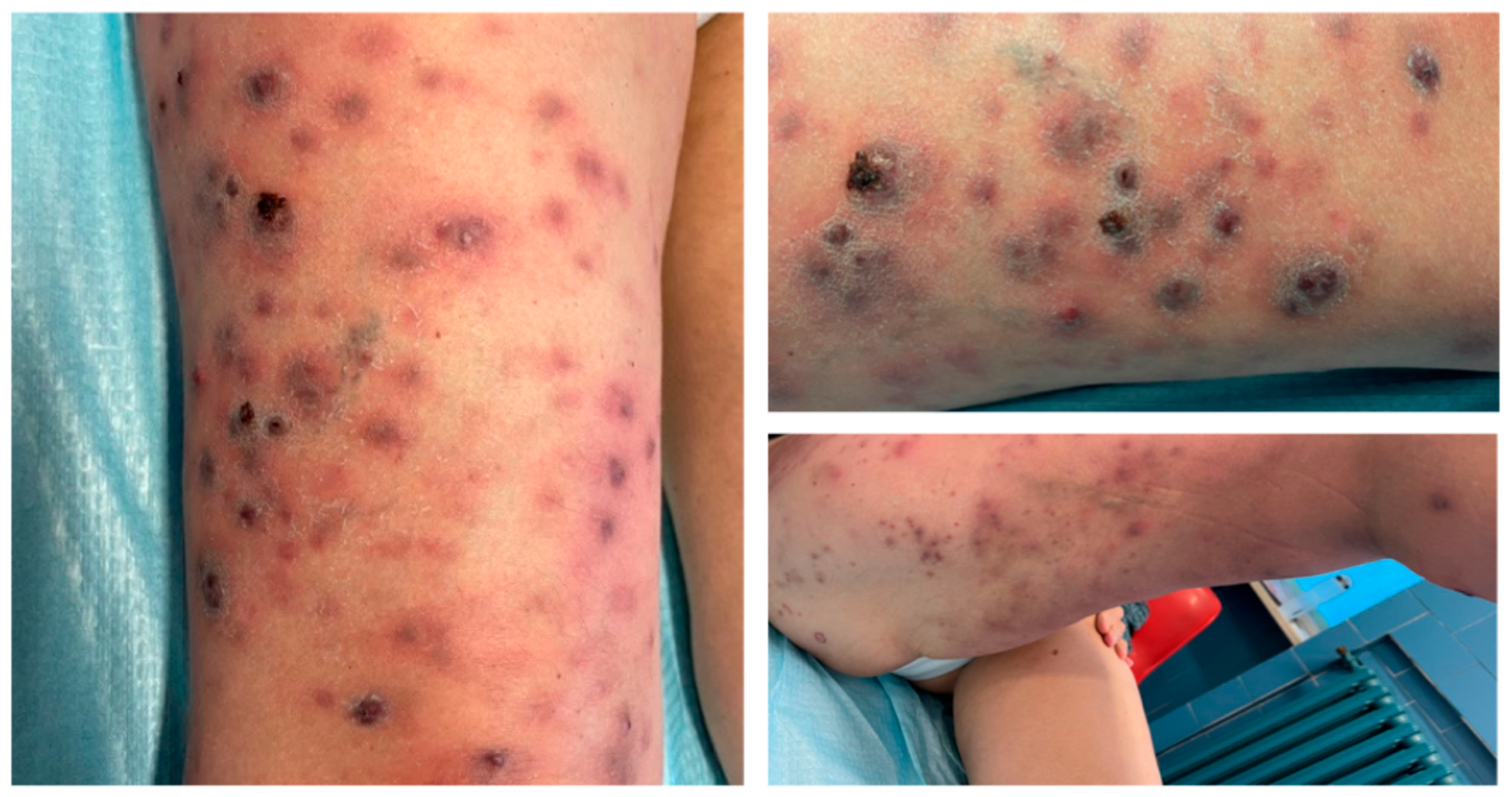 Life 15 01453 g002 Life 15 01453 g002