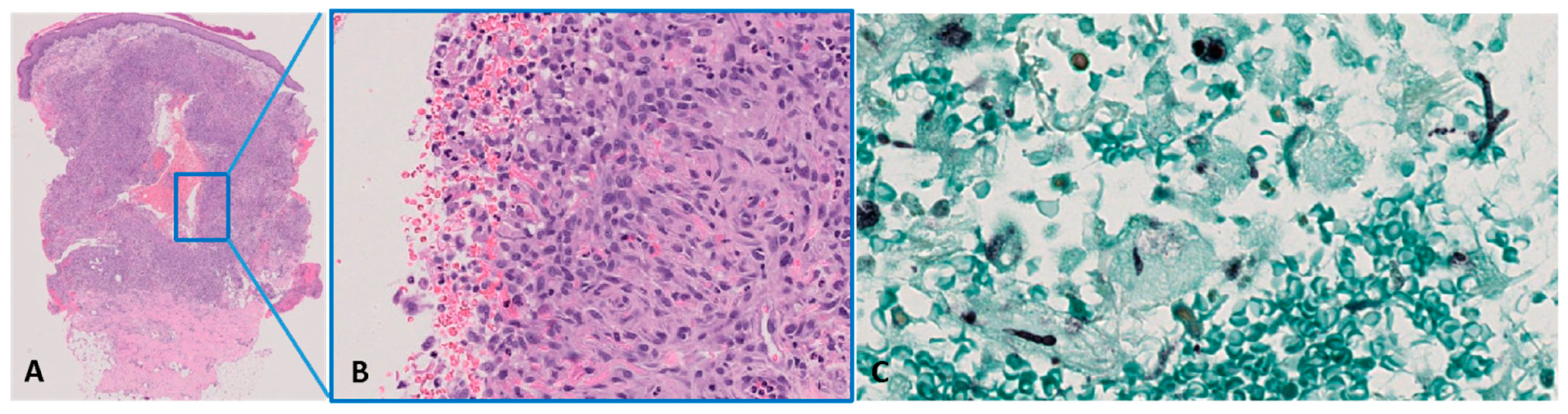 Life 15 01453 g004 Life 15 01453 g004