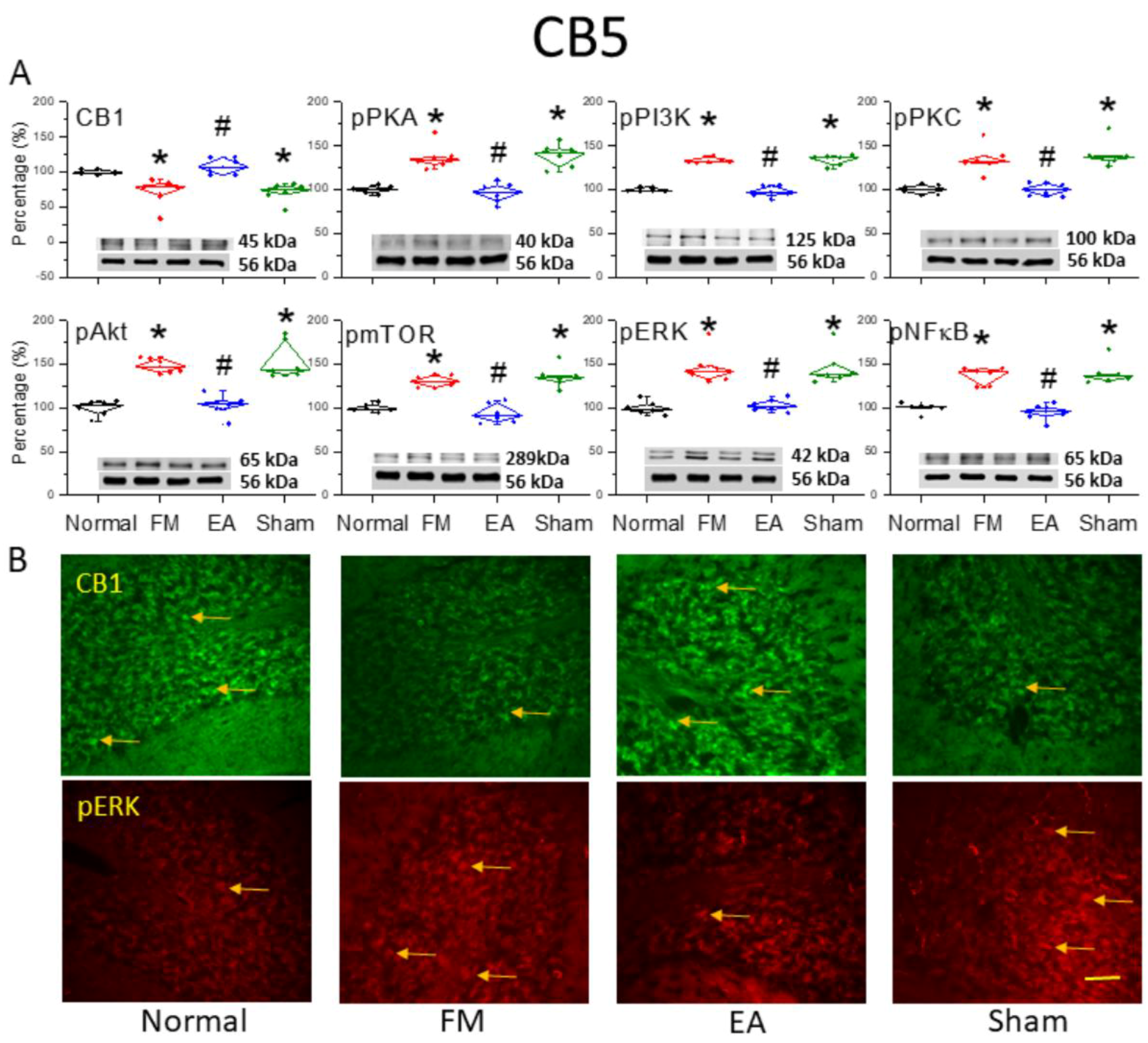 Life 15 01458 g002 Life 15 01458 g002