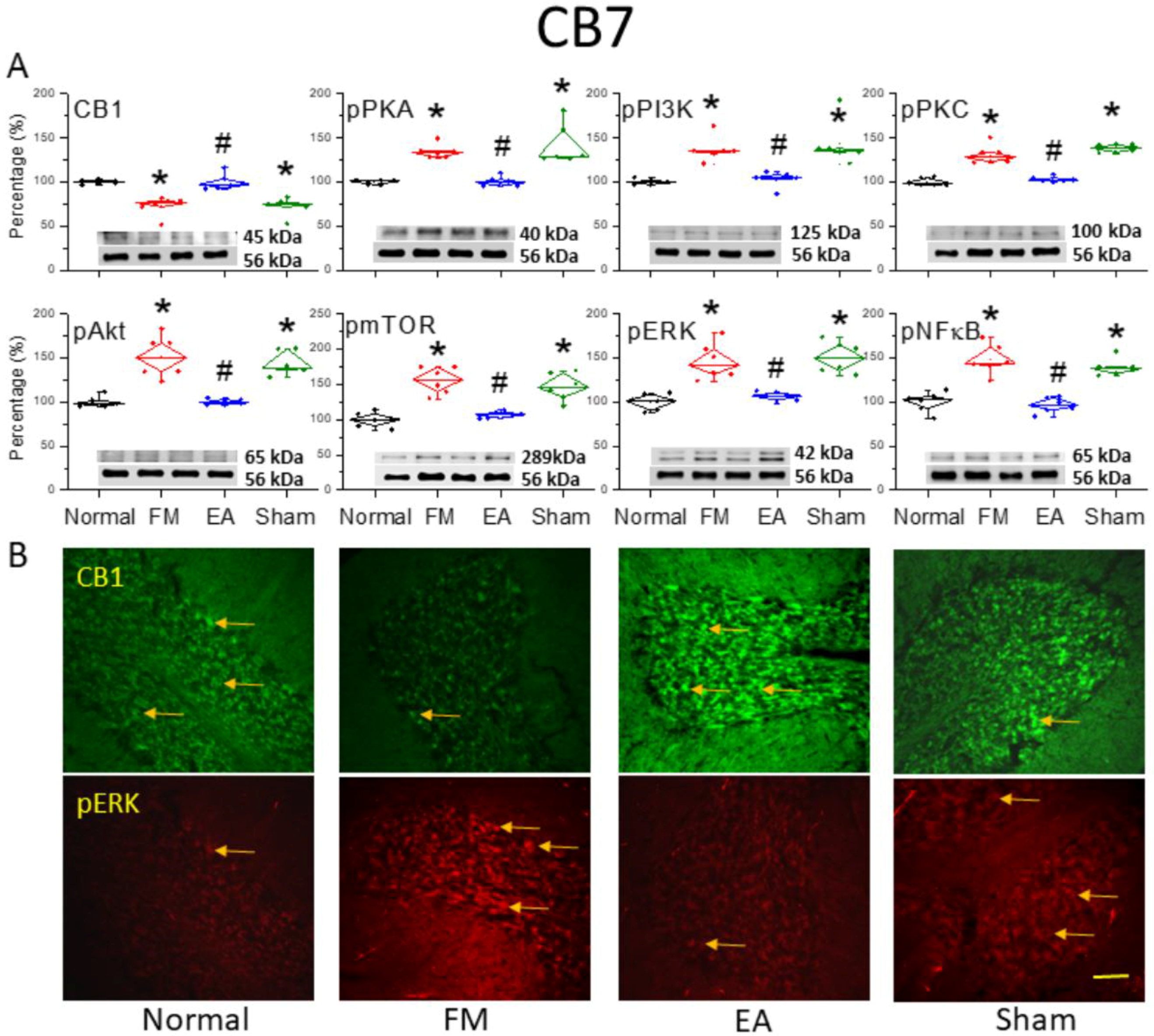 Life 15 01458 g004 Life 15 01458 g004