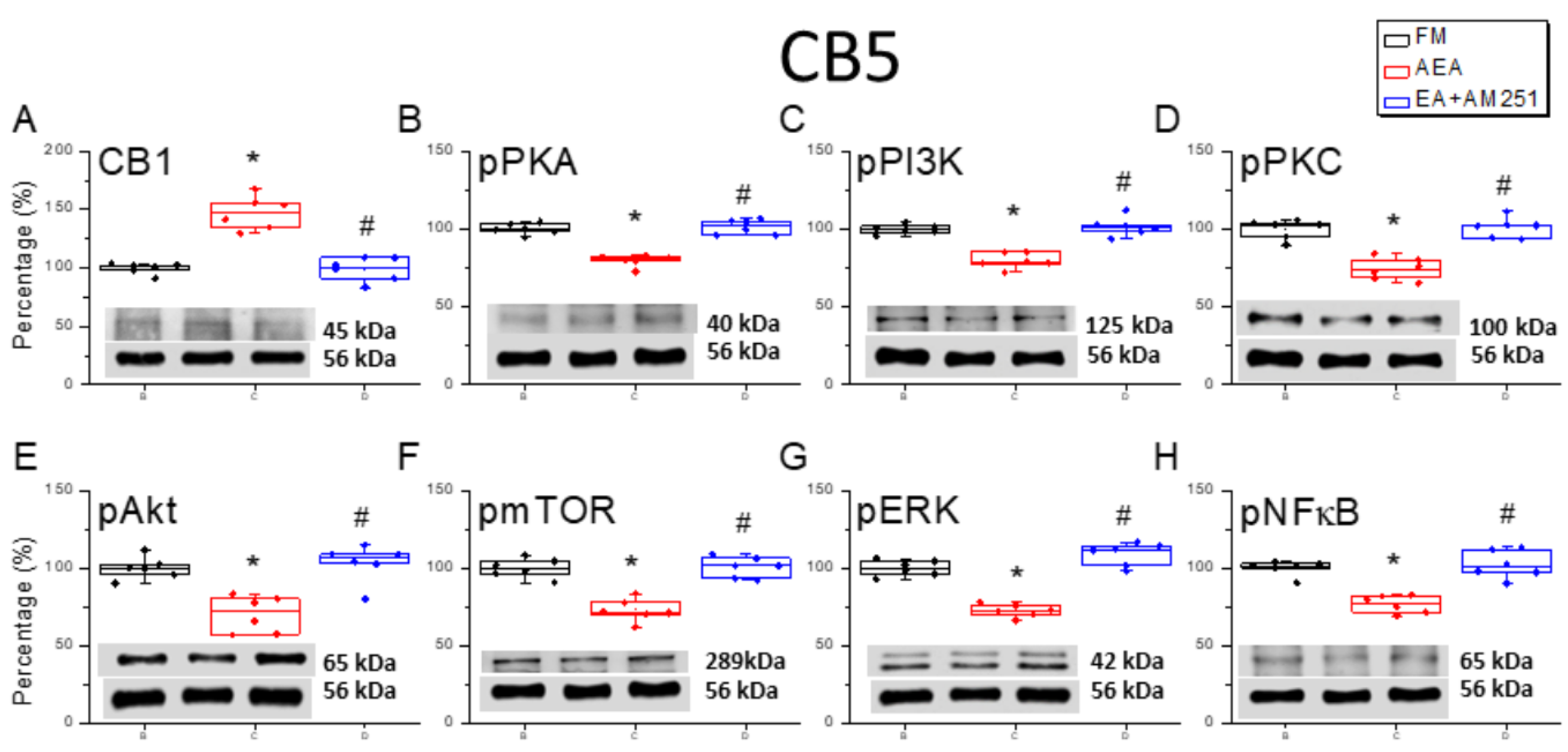 Life 15 01458 g006 Life 15 01458 g006