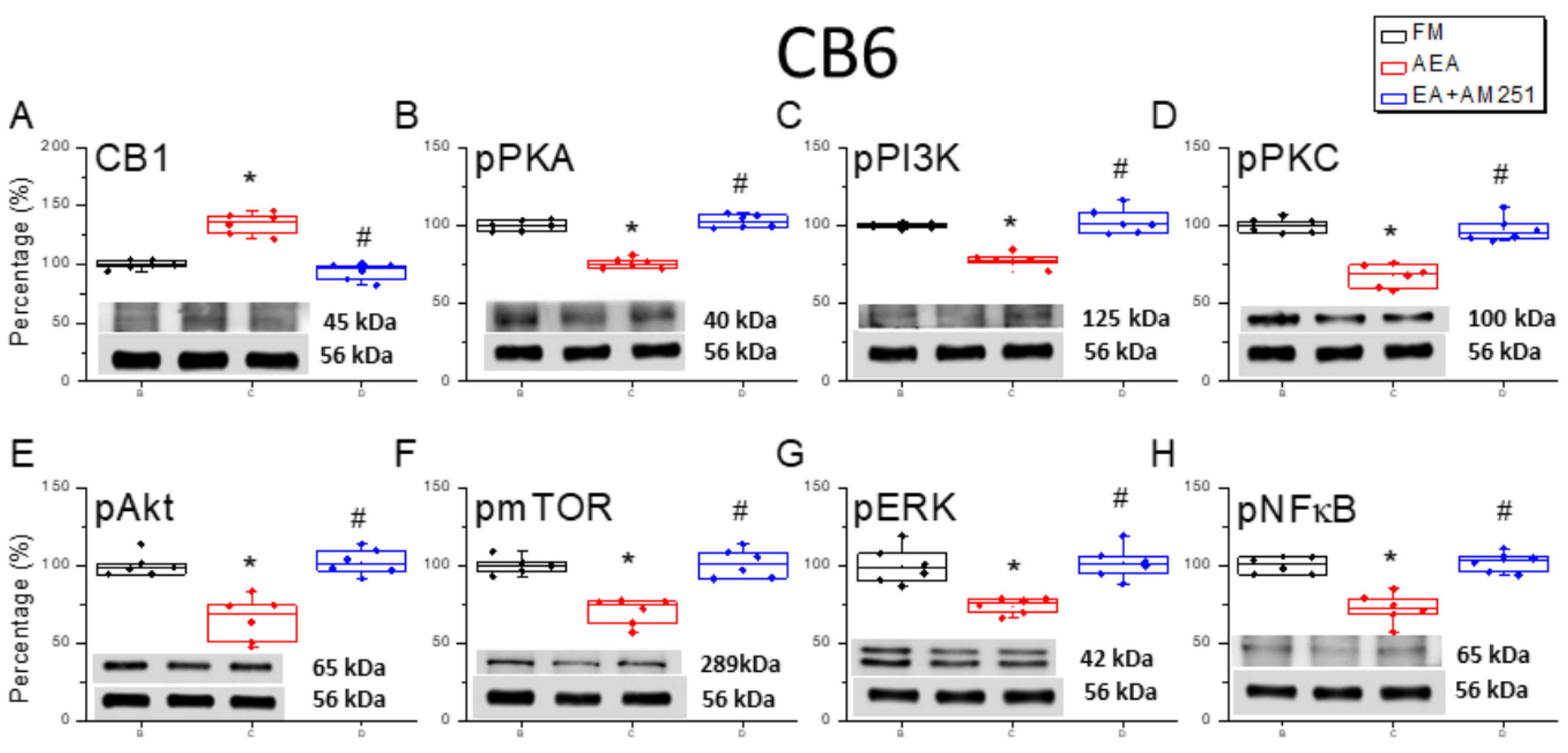 Life 15 01458 g007 Life 15 01458 g007