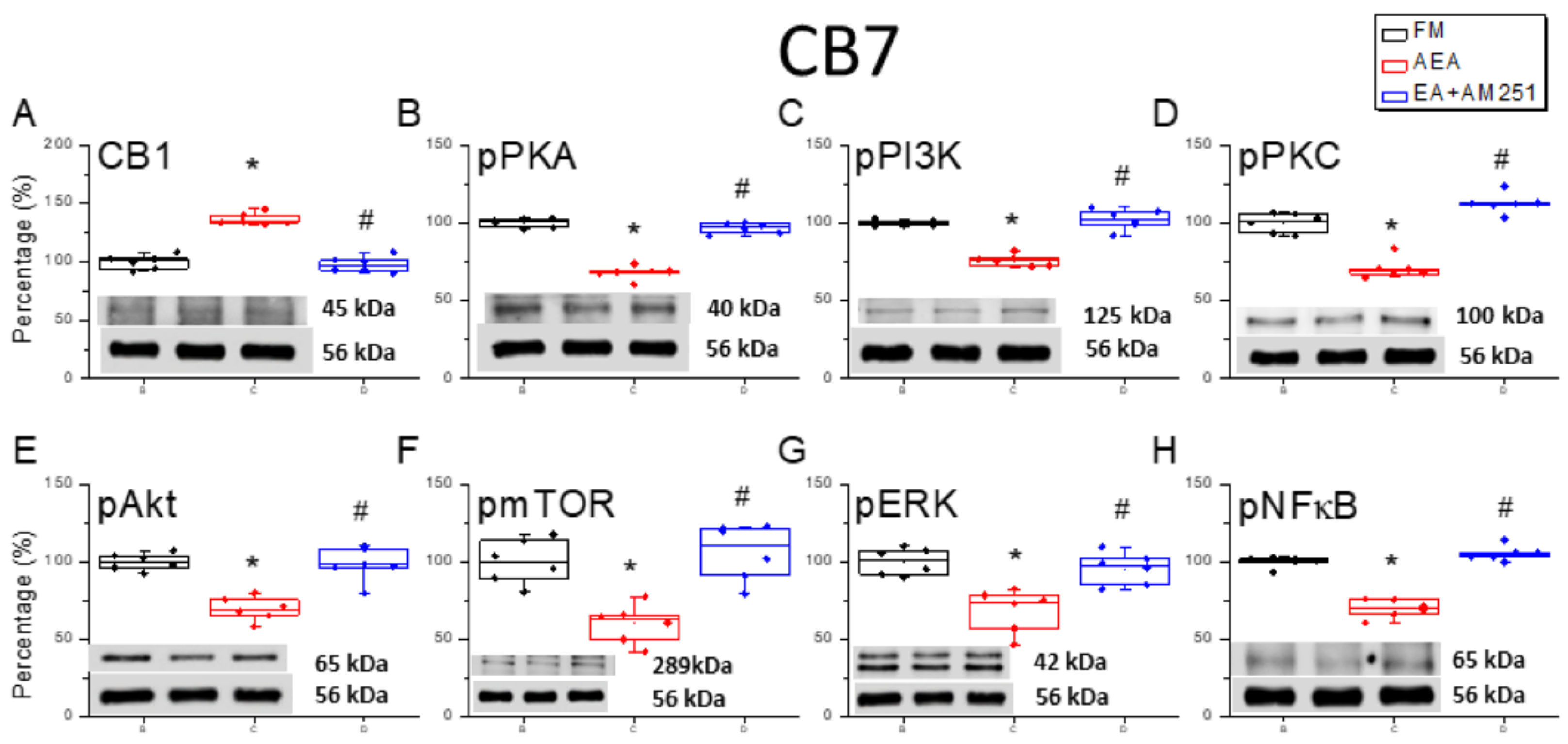 Life 15 01458 g008 Life 15 01458 g008