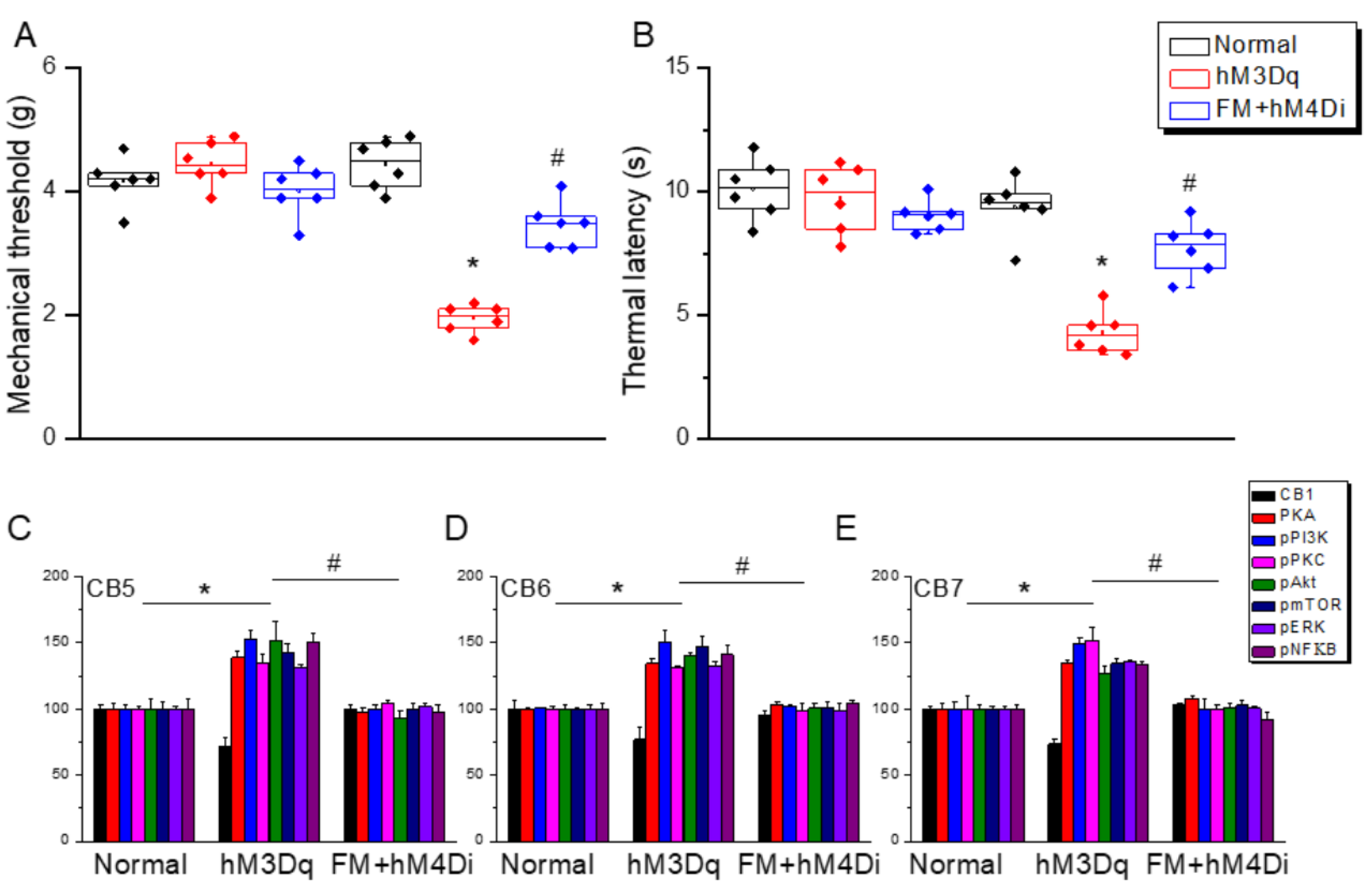 Life 15 01458 g009 Life 15 01458 g009