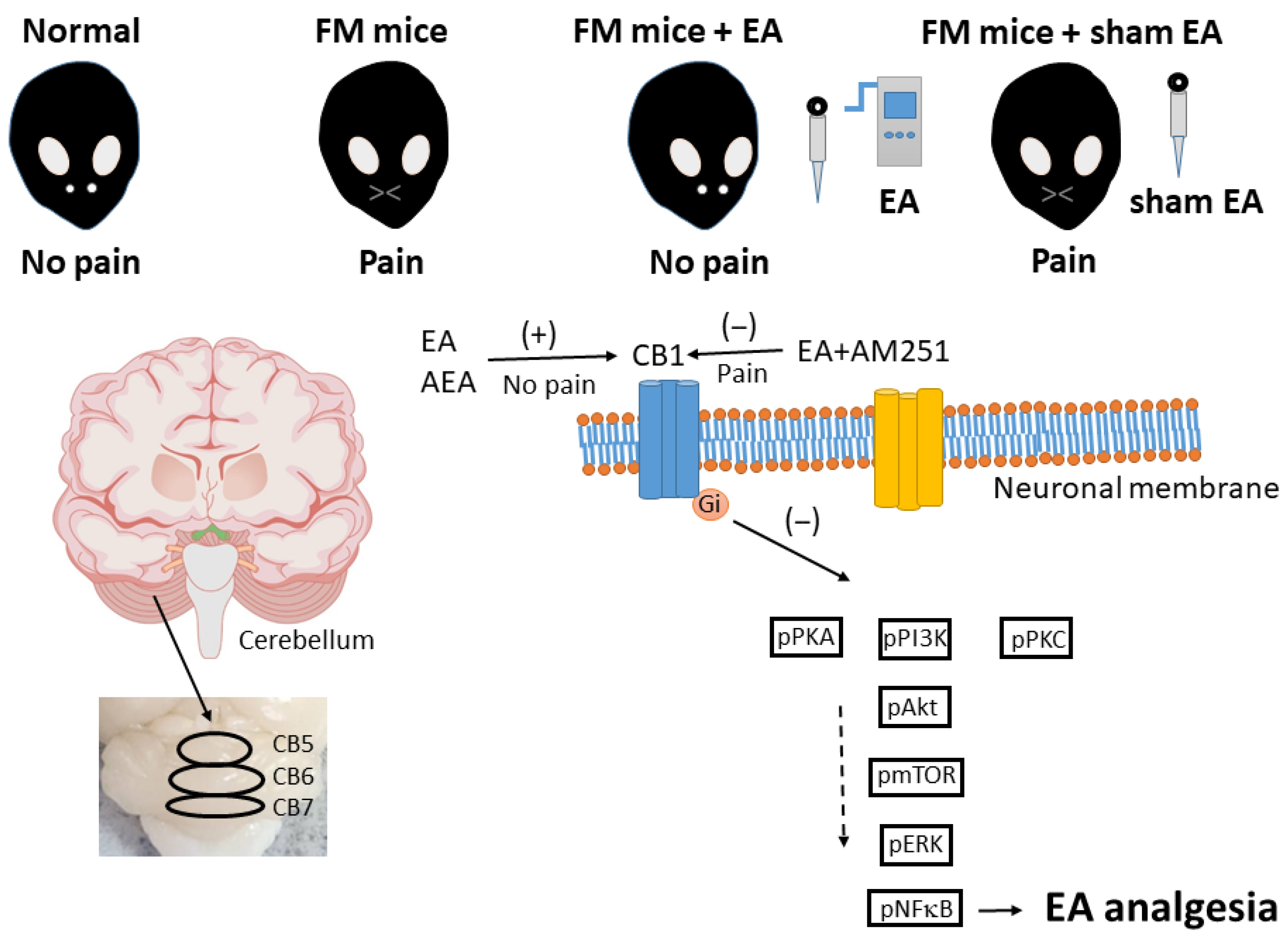 Life 15 01458 g010 Life 15 01458 g010