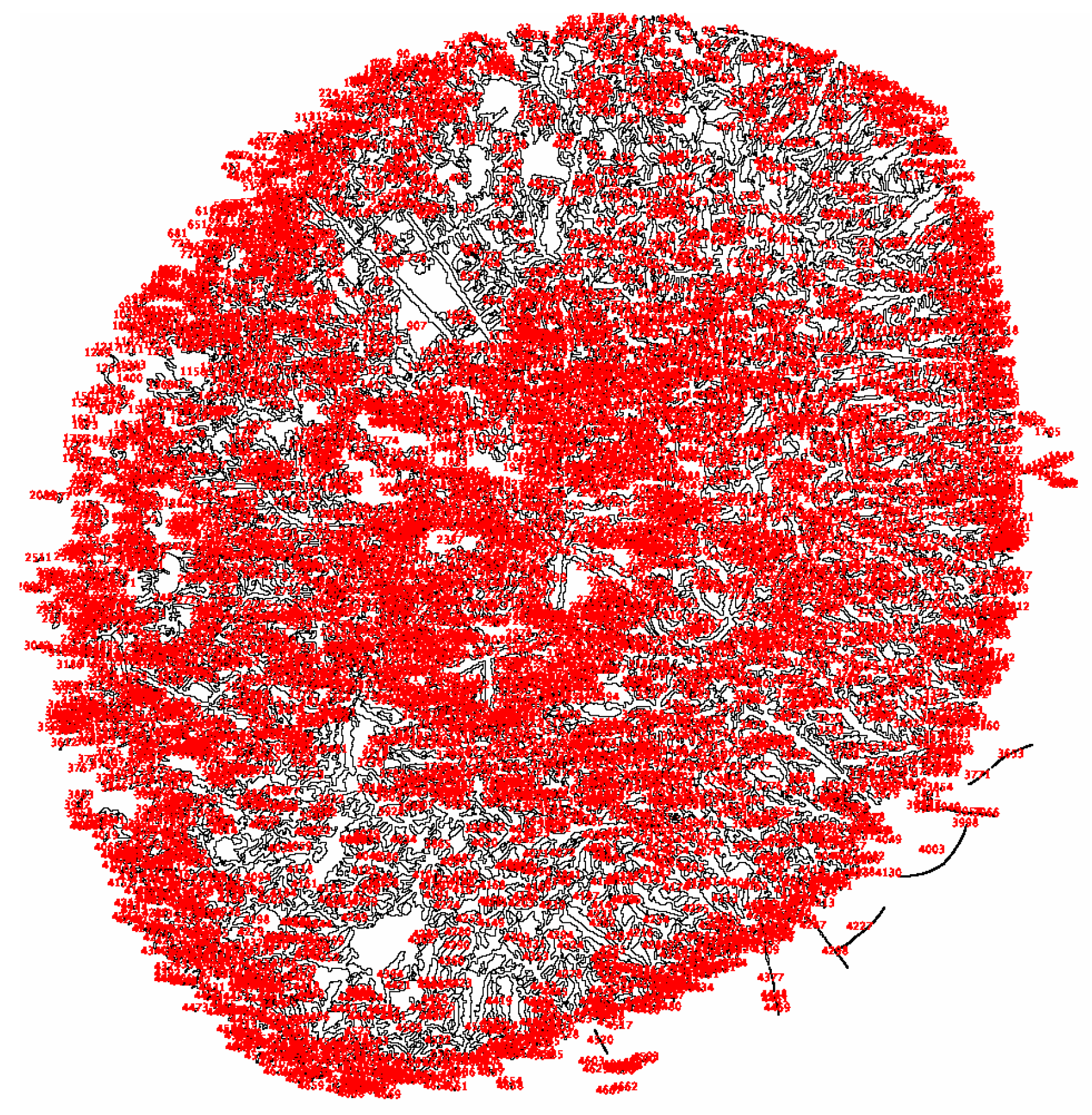 Life 15 01464 g007 Life 15 01464 g007