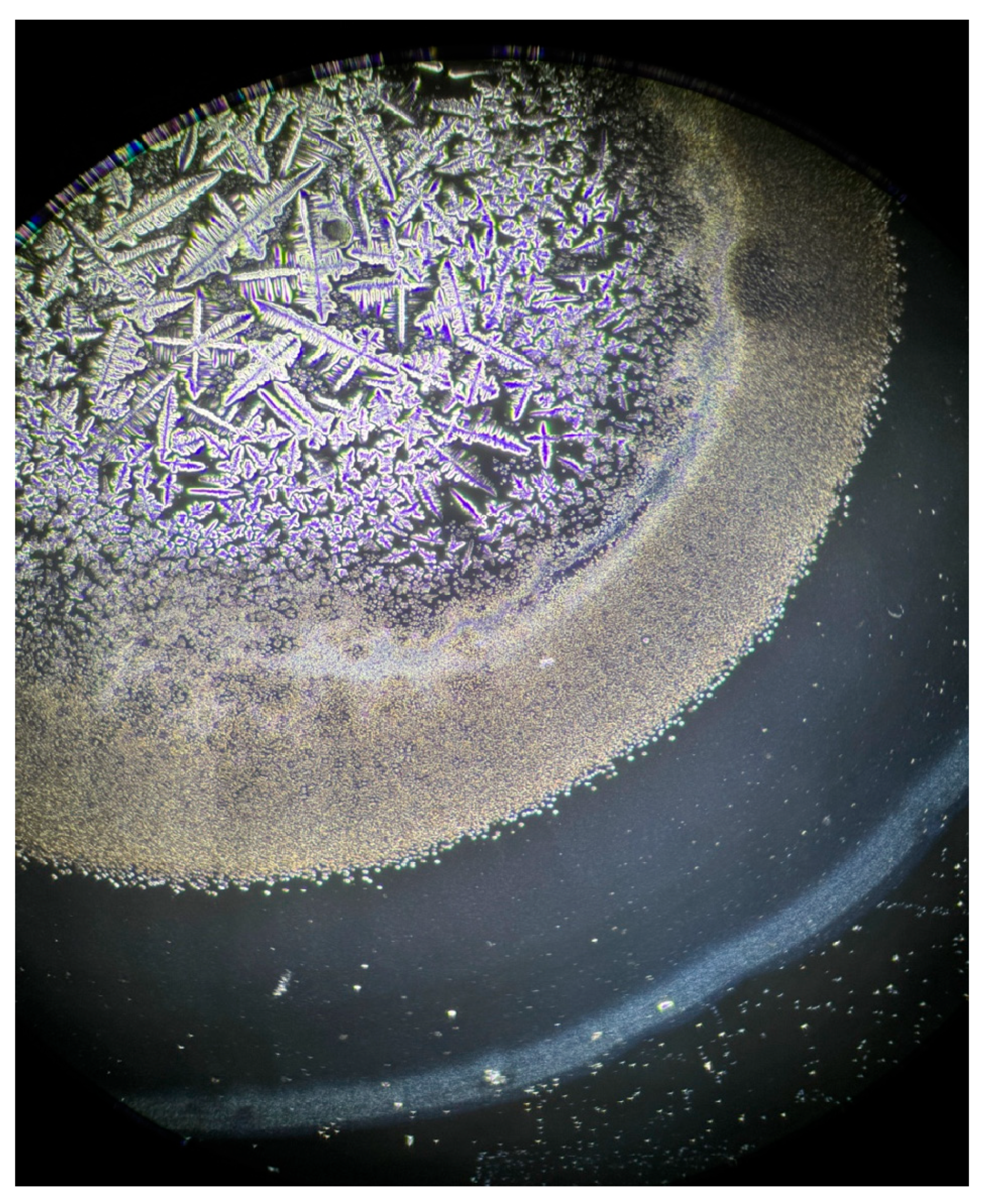 Life 15 01464 g008 Life 15 01464 g008