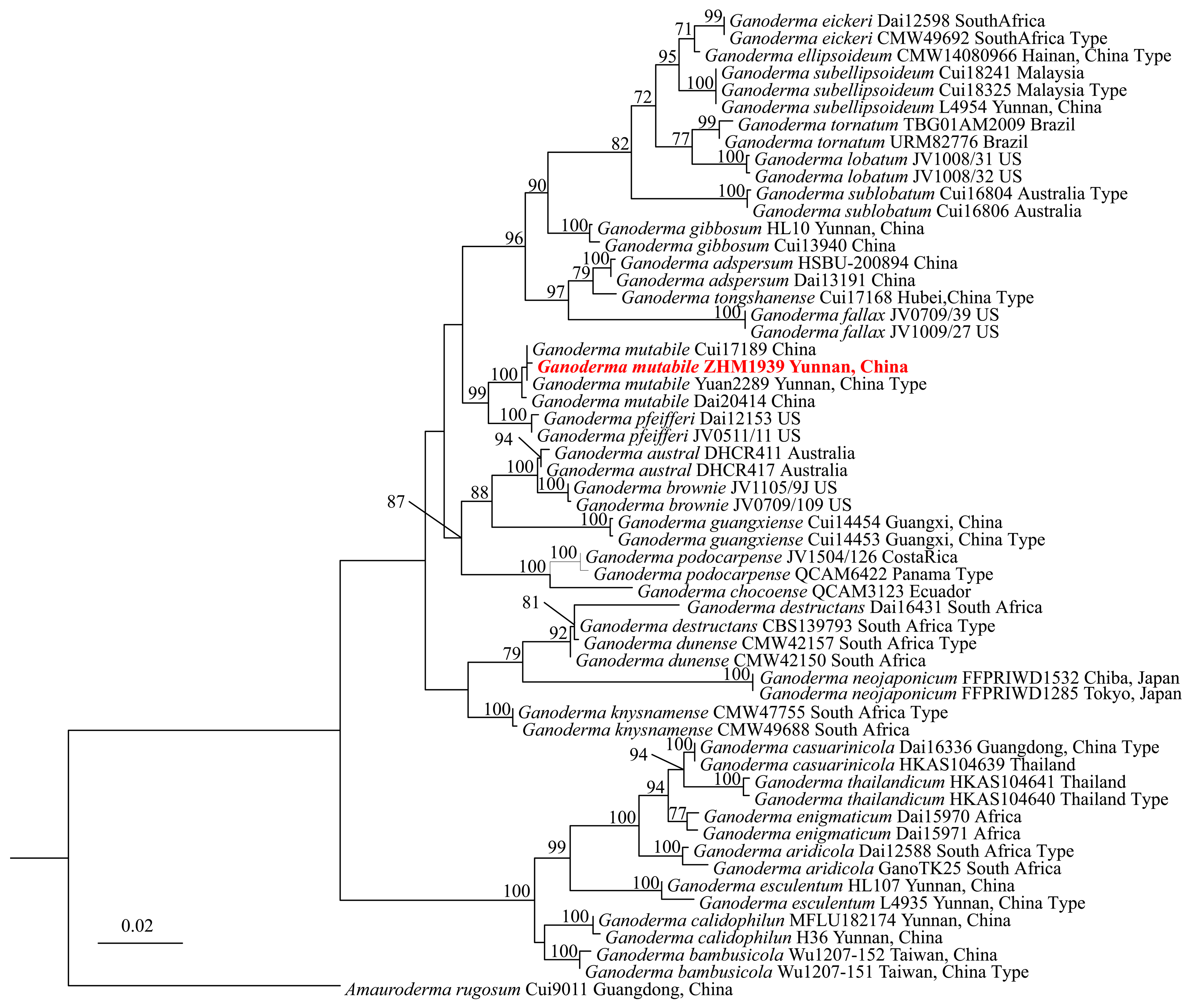 Life 15 01475 g002 Life 15 01475 g002