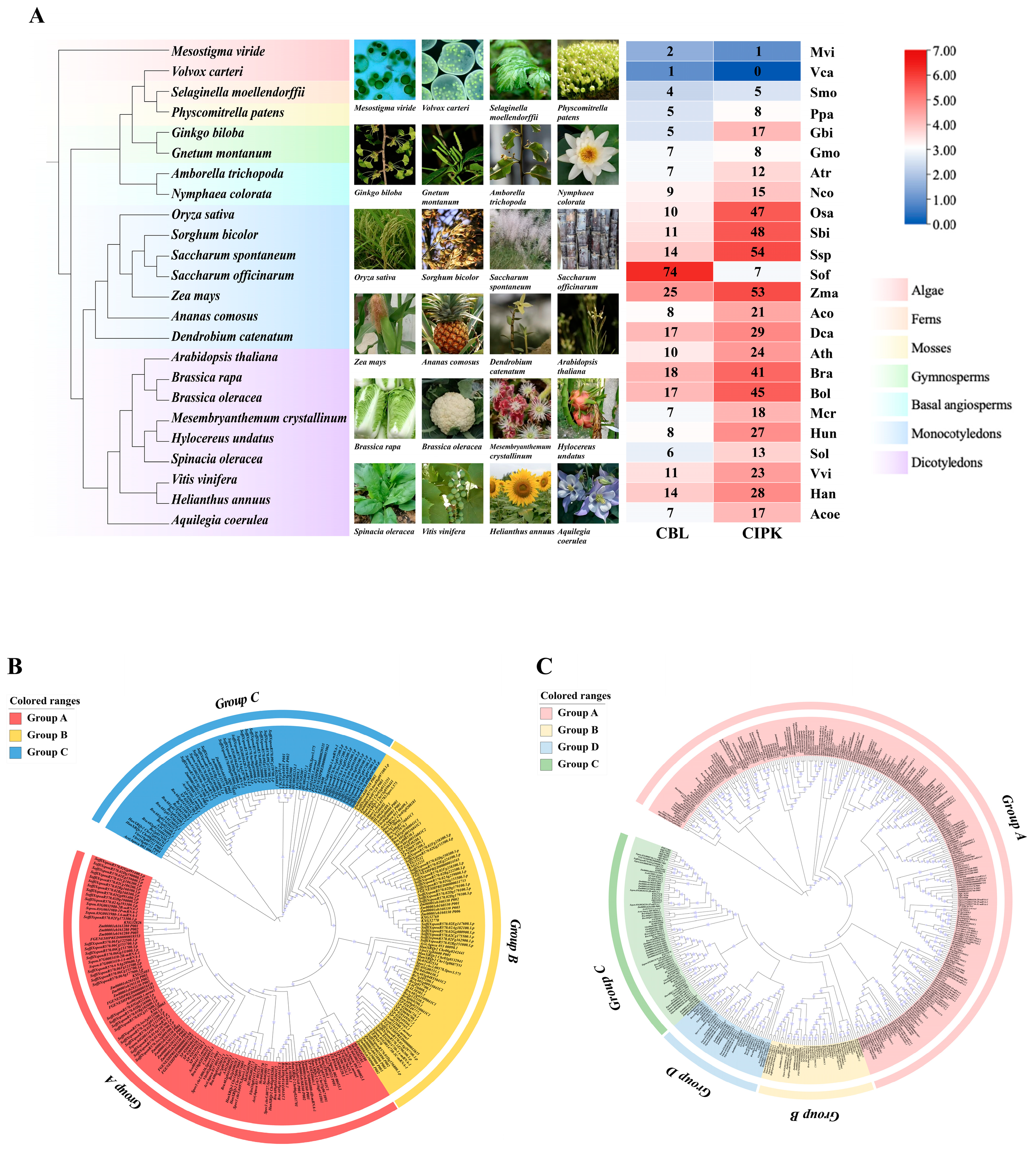 Life 15 01476 g001 Life 15 01476 g001