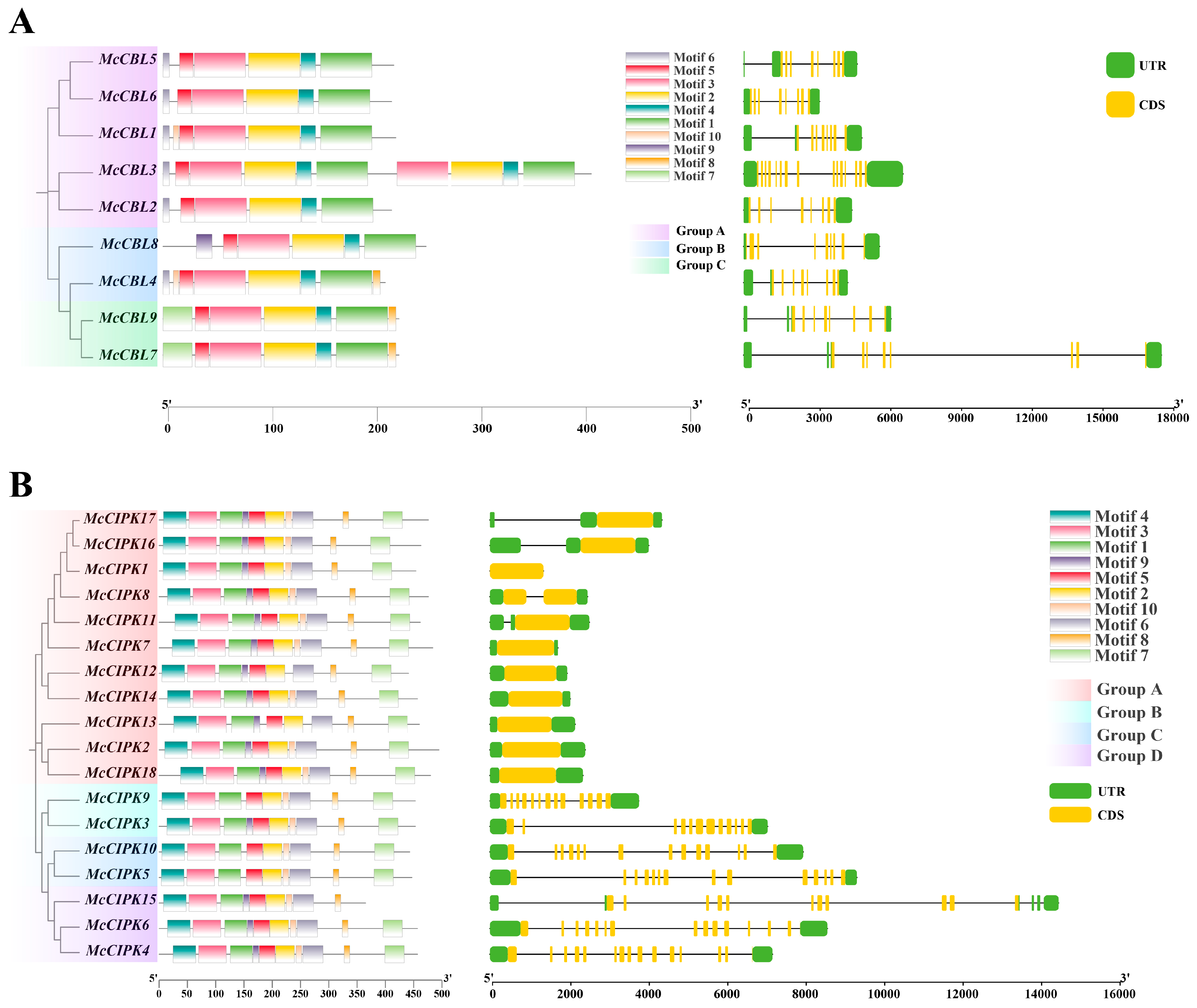 Life 15 01476 g003 Life 15 01476 g003