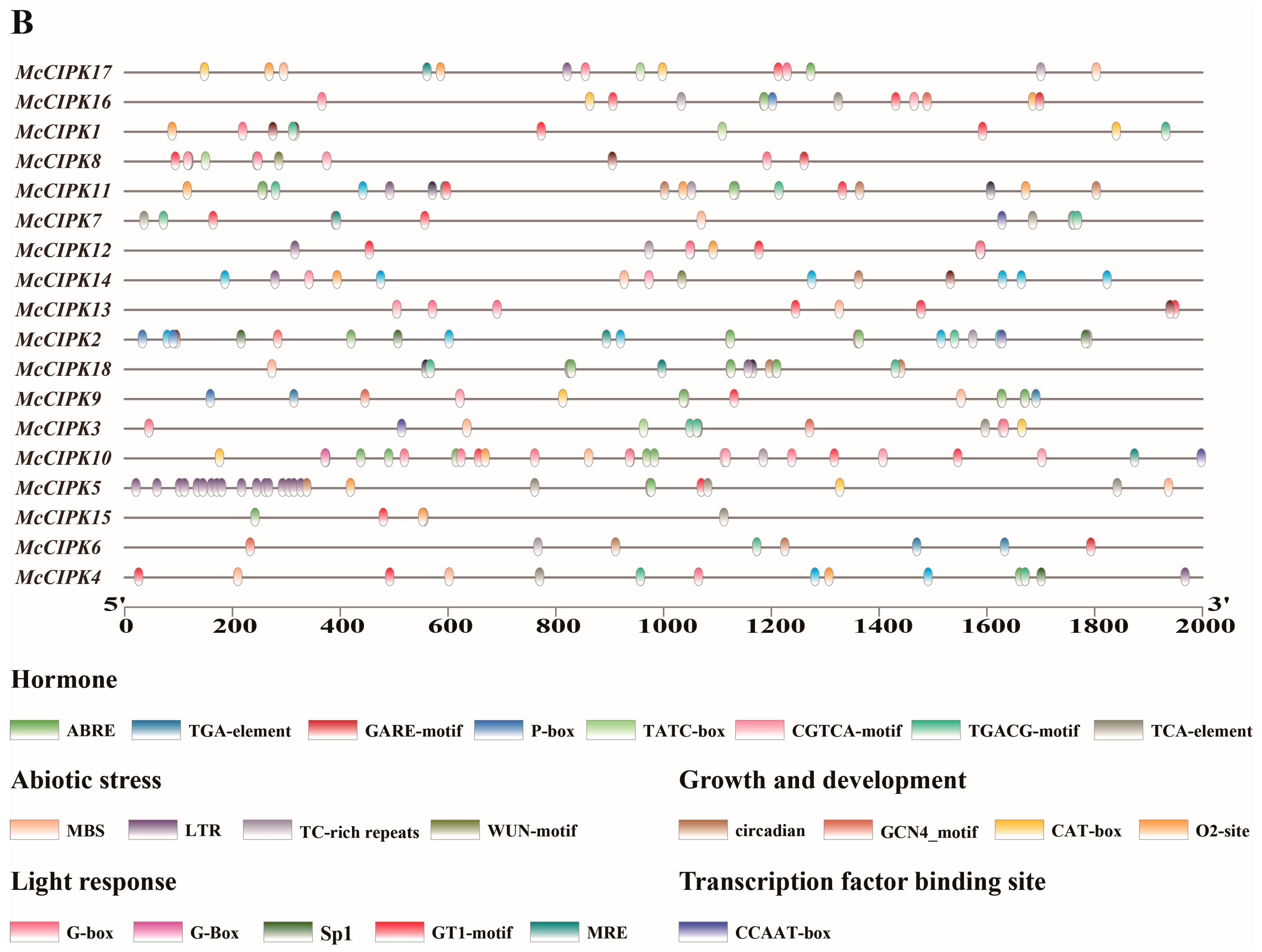 Life 15 01476 g004b Life 15 01476 g004b