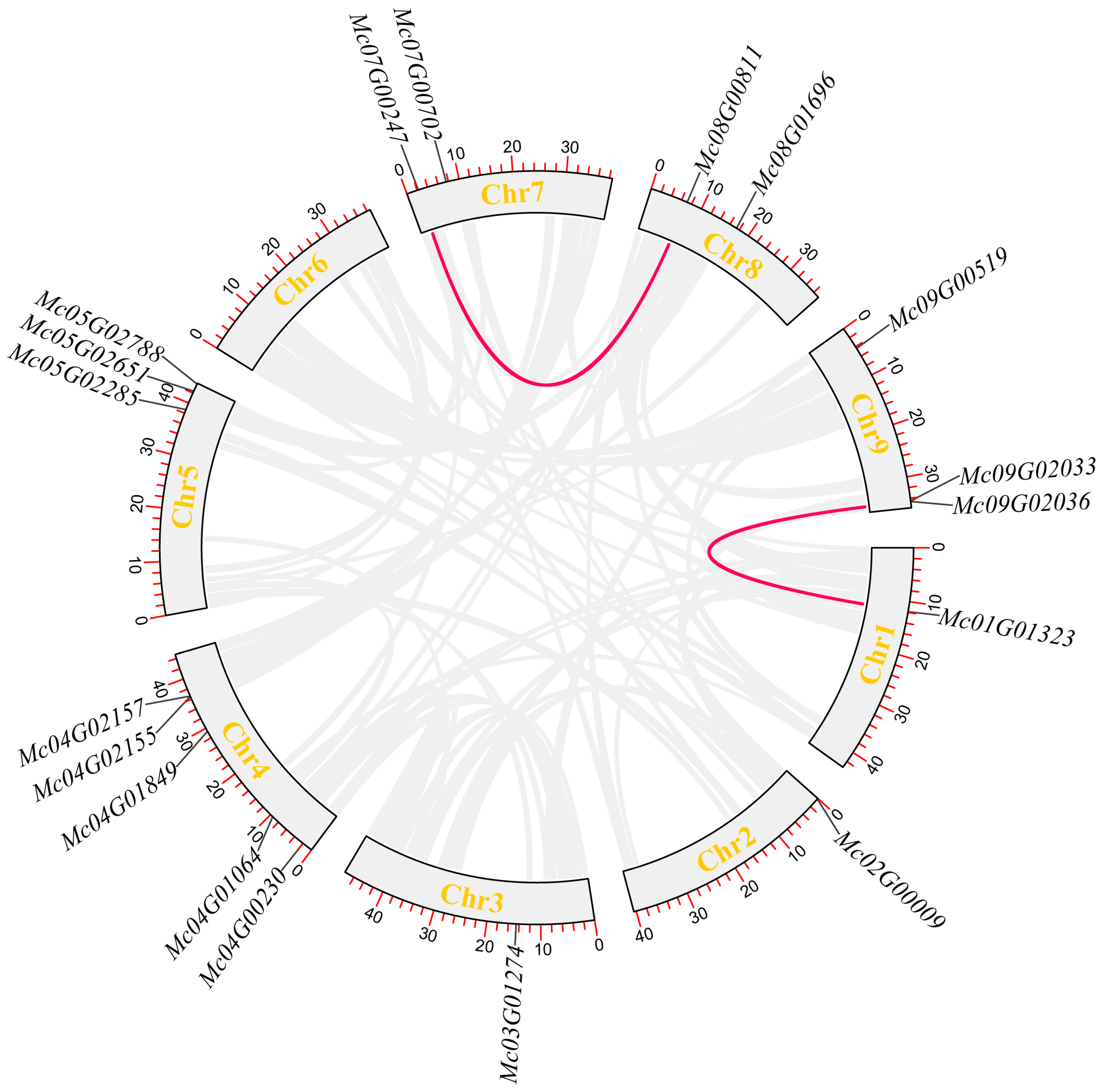 Life 15 01476 g005 Life 15 01476 g005