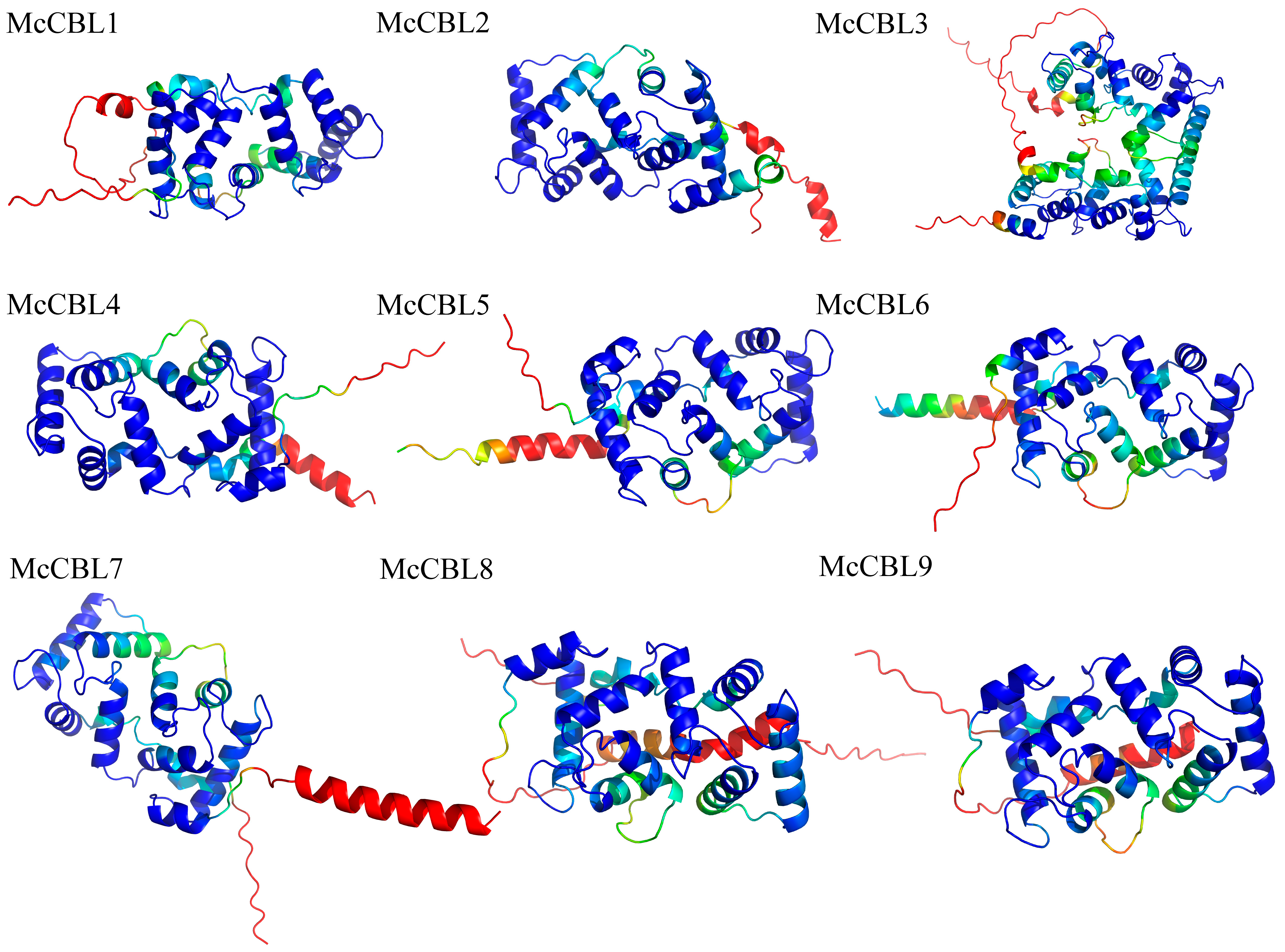 Life 15 01476 g007 Life 15 01476 g007