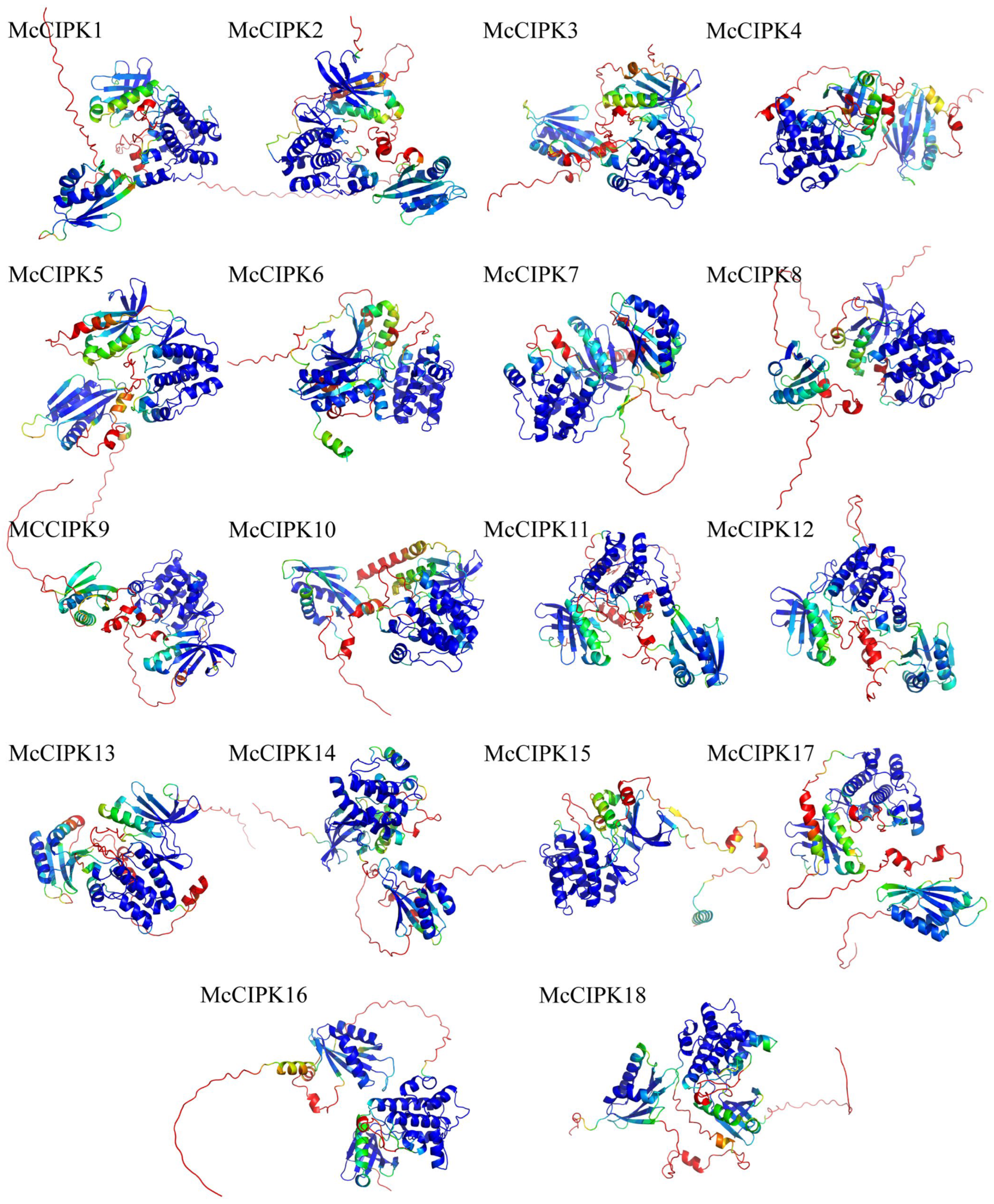 Life 15 01476 g008 Life 15 01476 g008