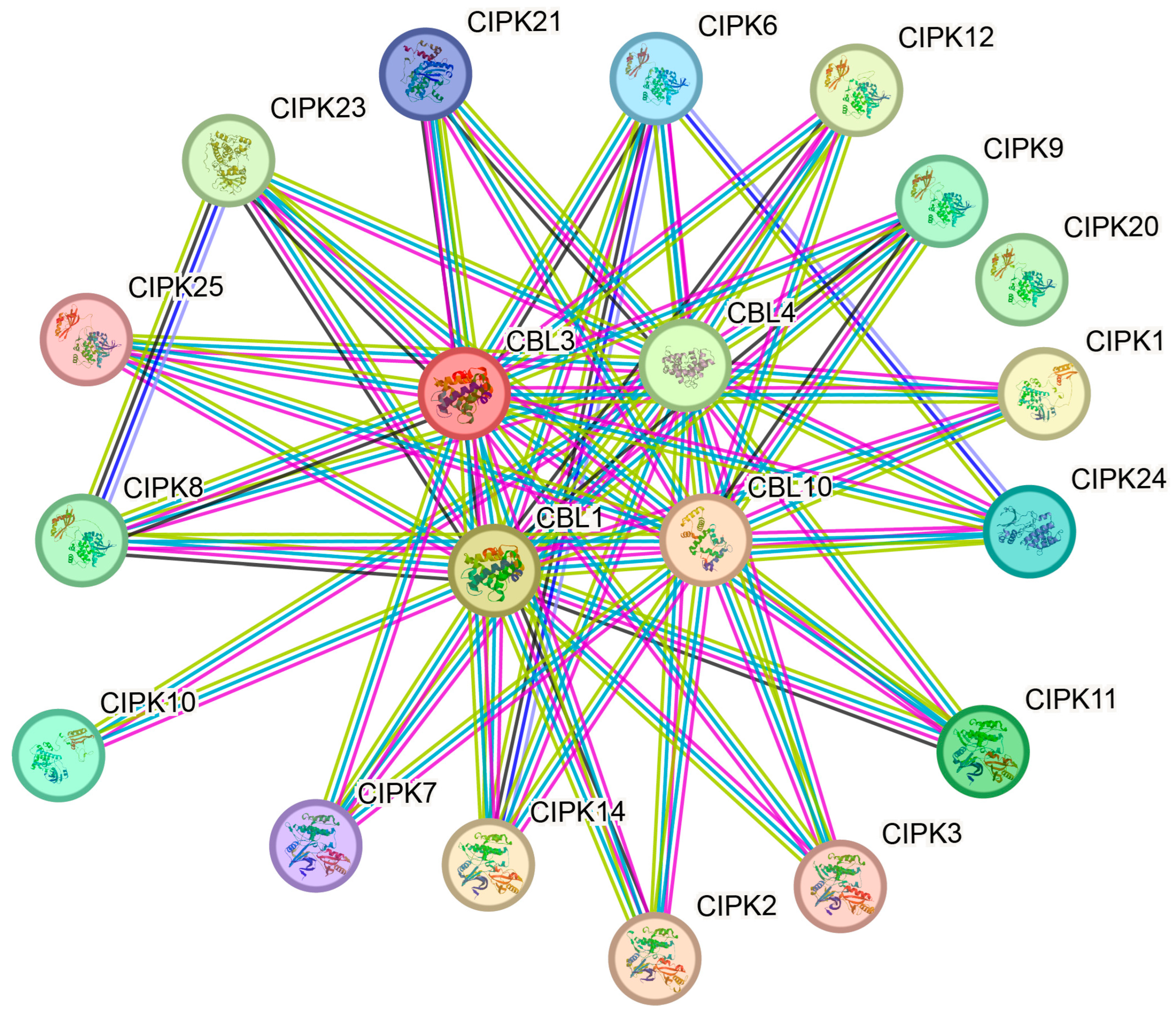 Life 15 01476 g009 Life 15 01476 g009