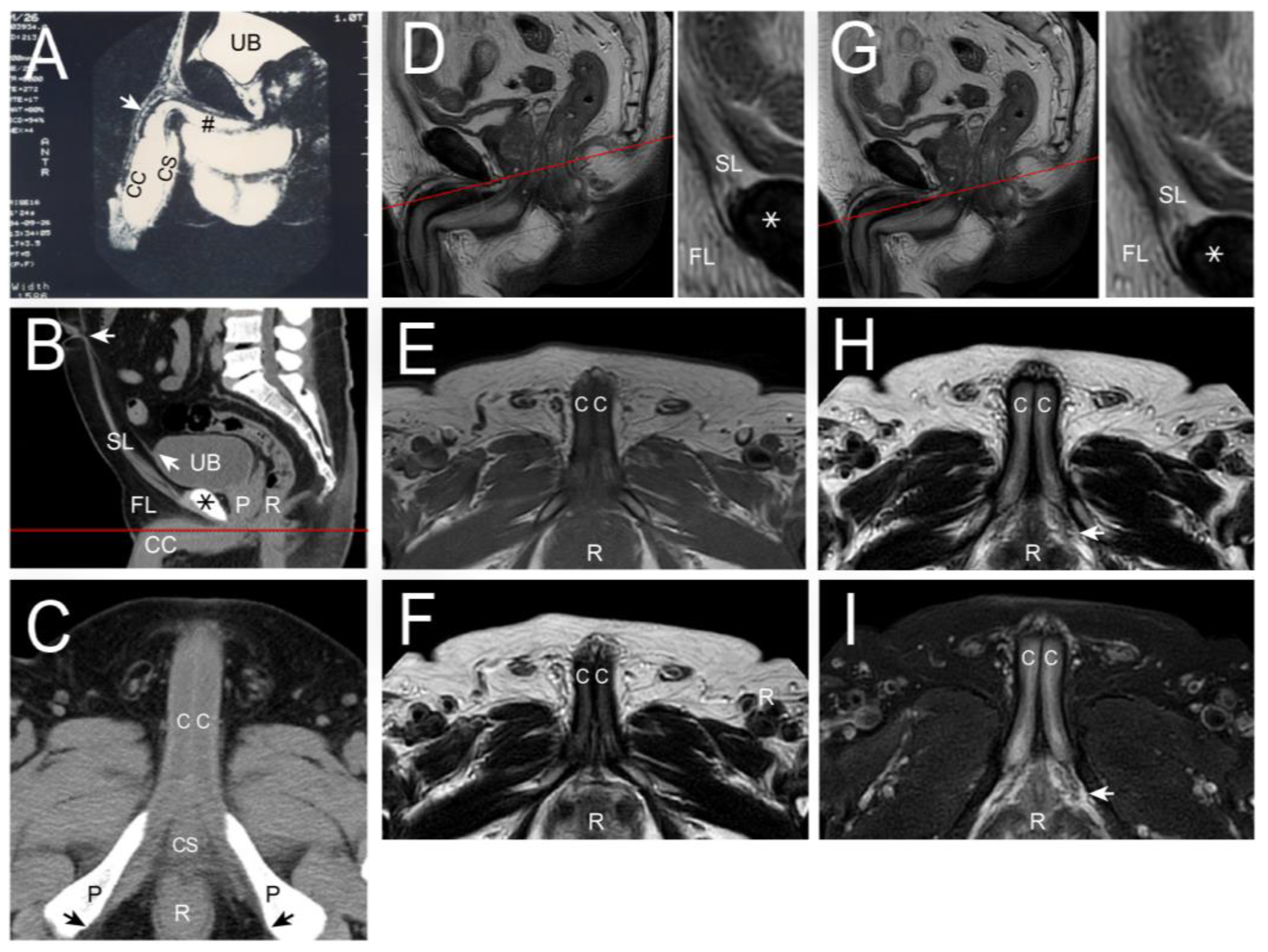 Life 15 01492 g002 Life 15 01492 g002