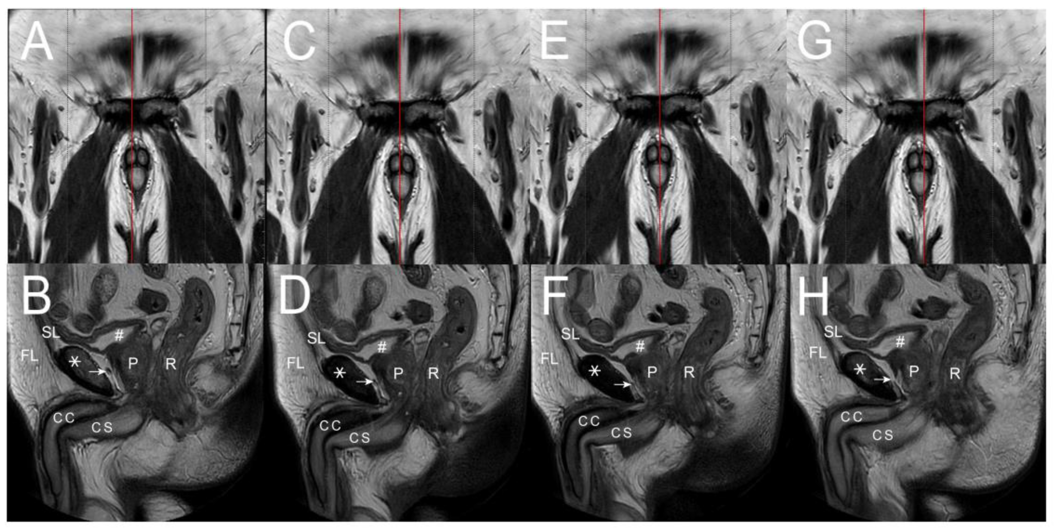 Life 15 01492 g003 Life 15 01492 g003