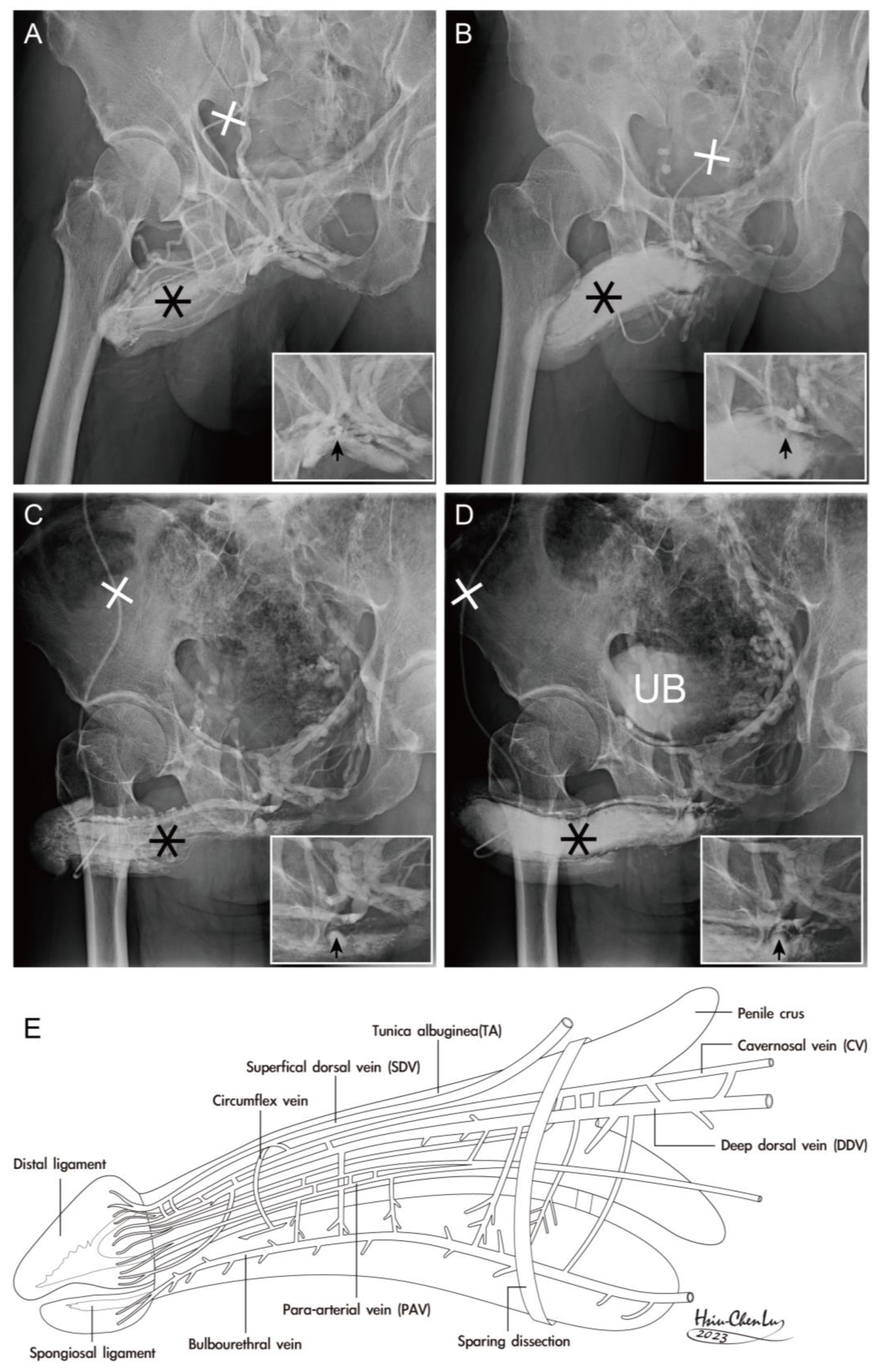 Life 15 01492 g004 Life 15 01492 g004