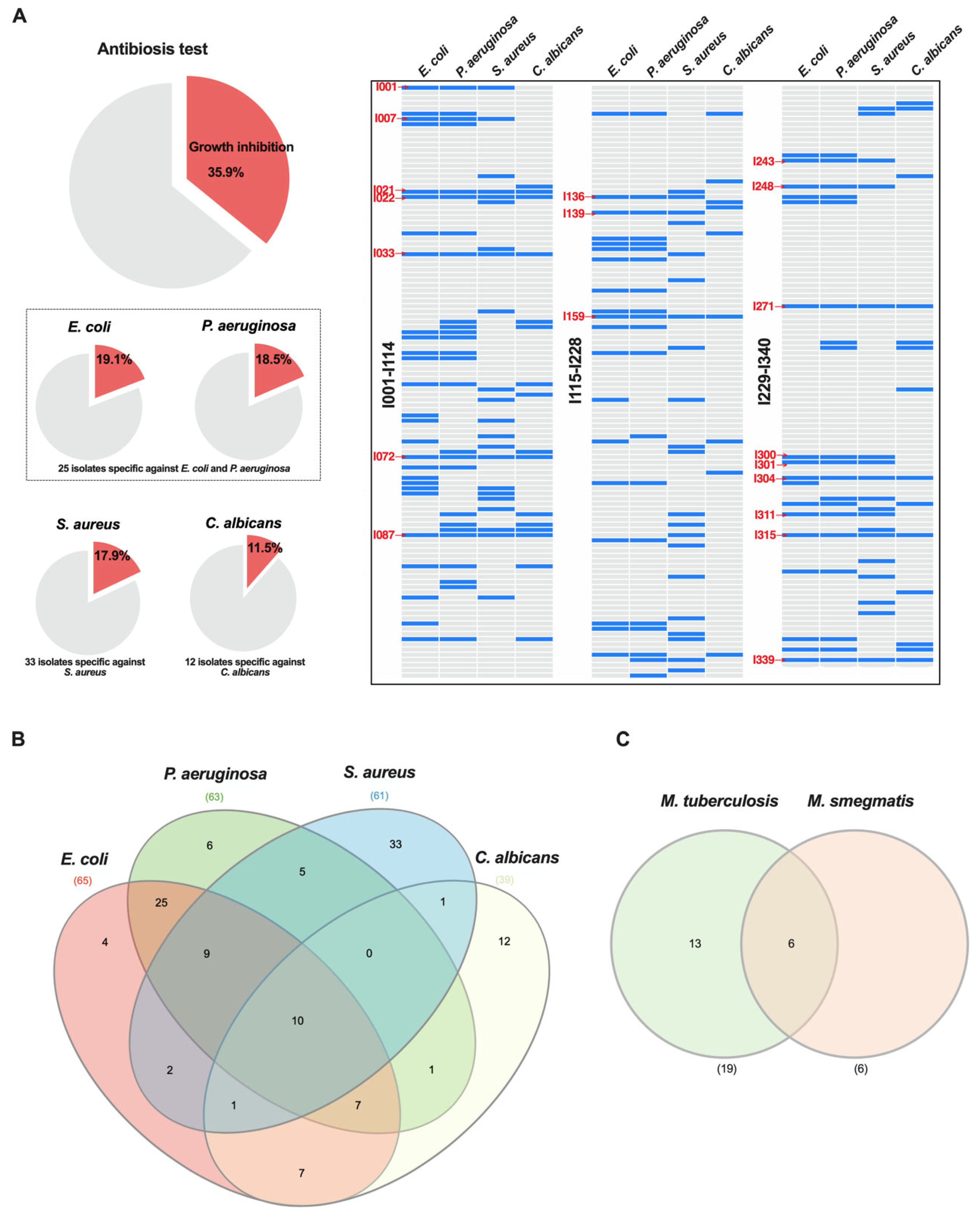 Life 15 01494 g001 Life 15 01494 g001