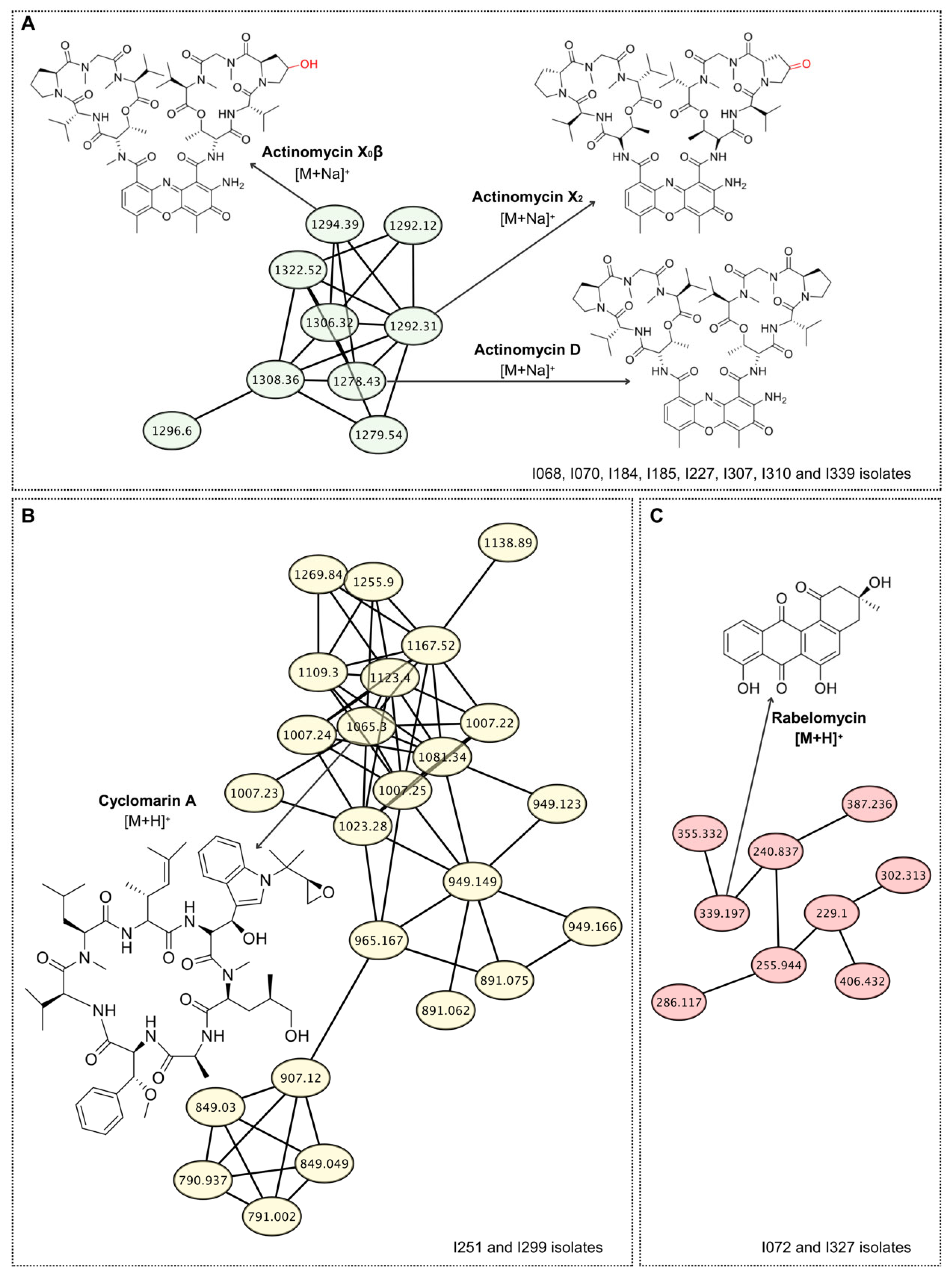 Life 15 01494 g002 Life 15 01494 g002