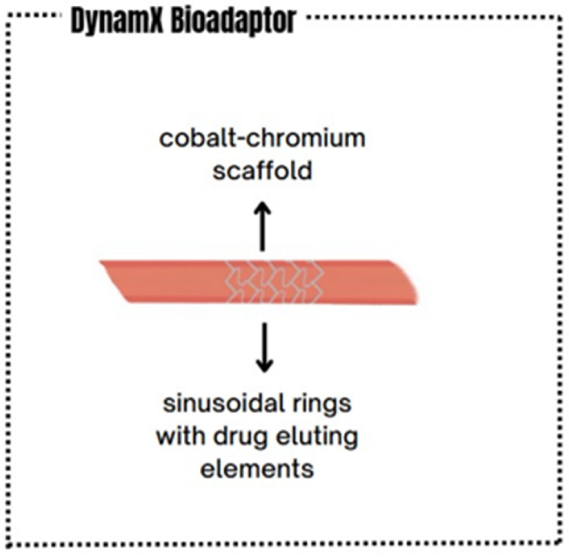 Life 15 01549 g002 Life 15 01549 g002