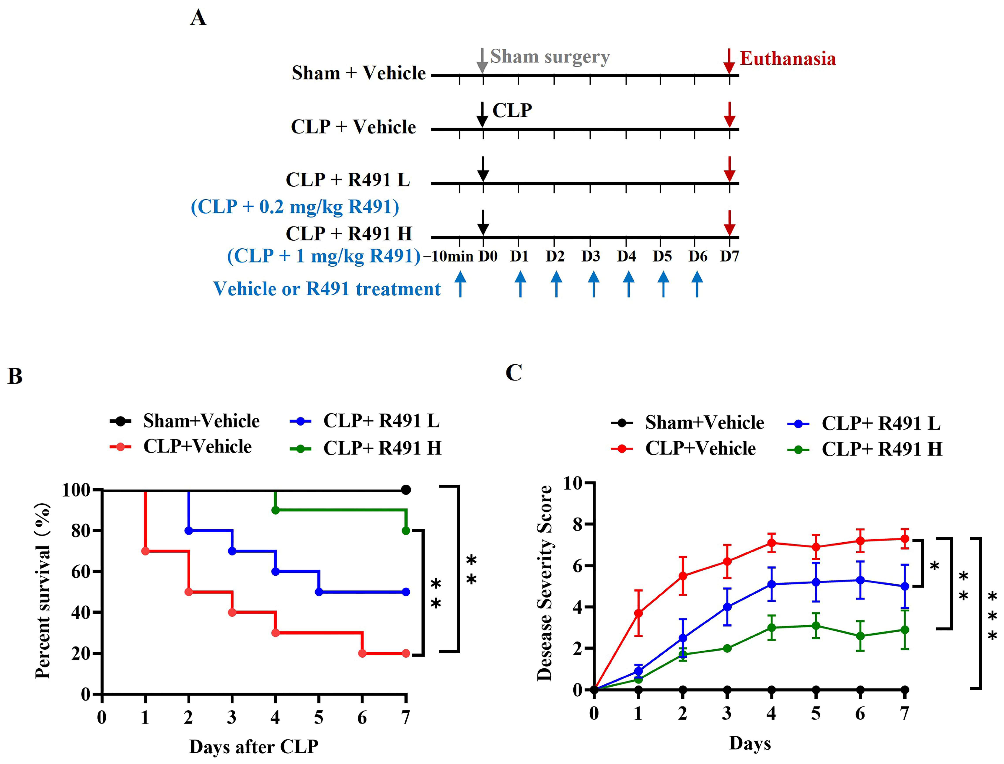 Life 15 01563 g001 Life 15 01563 g001