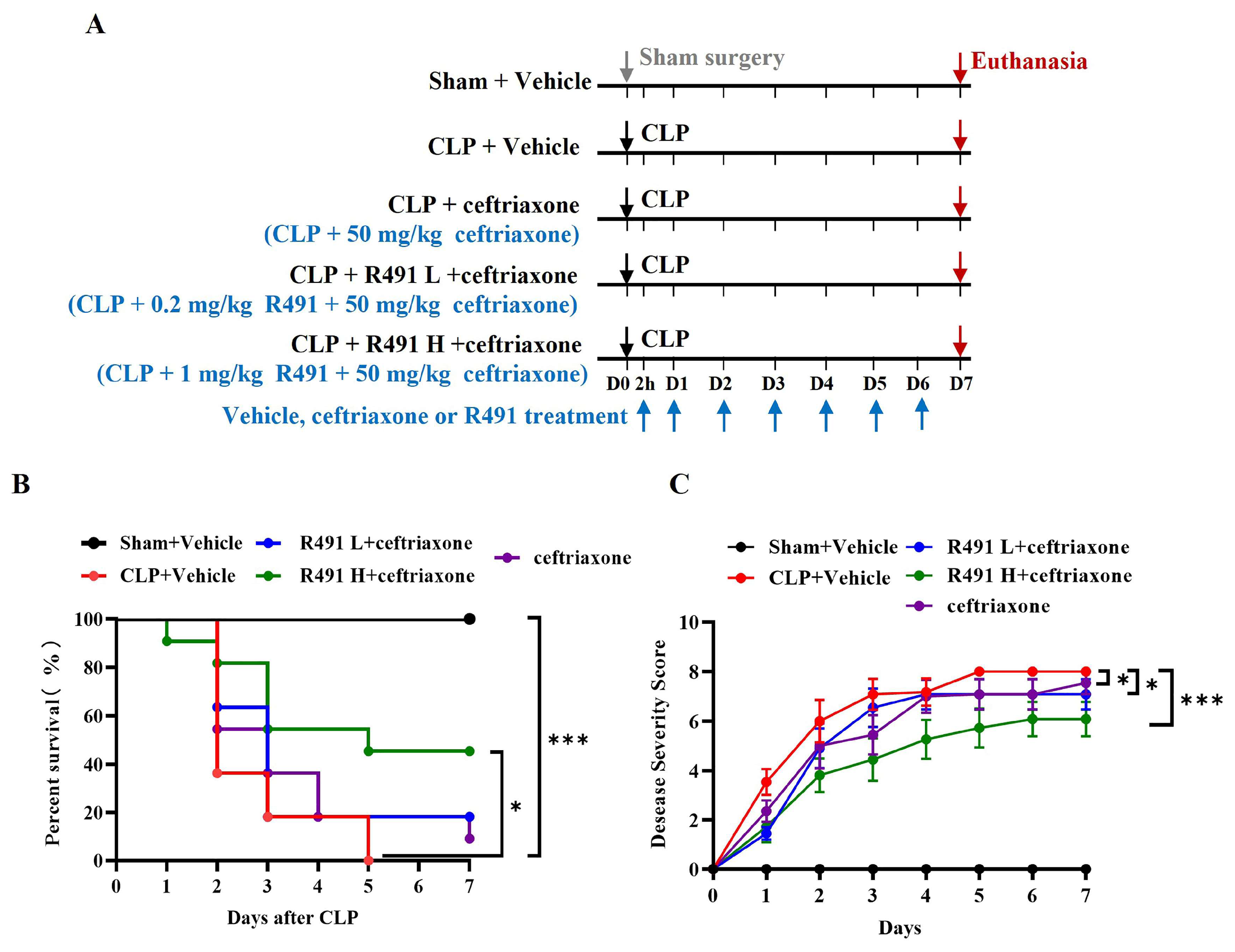 Life 15 01563 g002 Life 15 01563 g002
