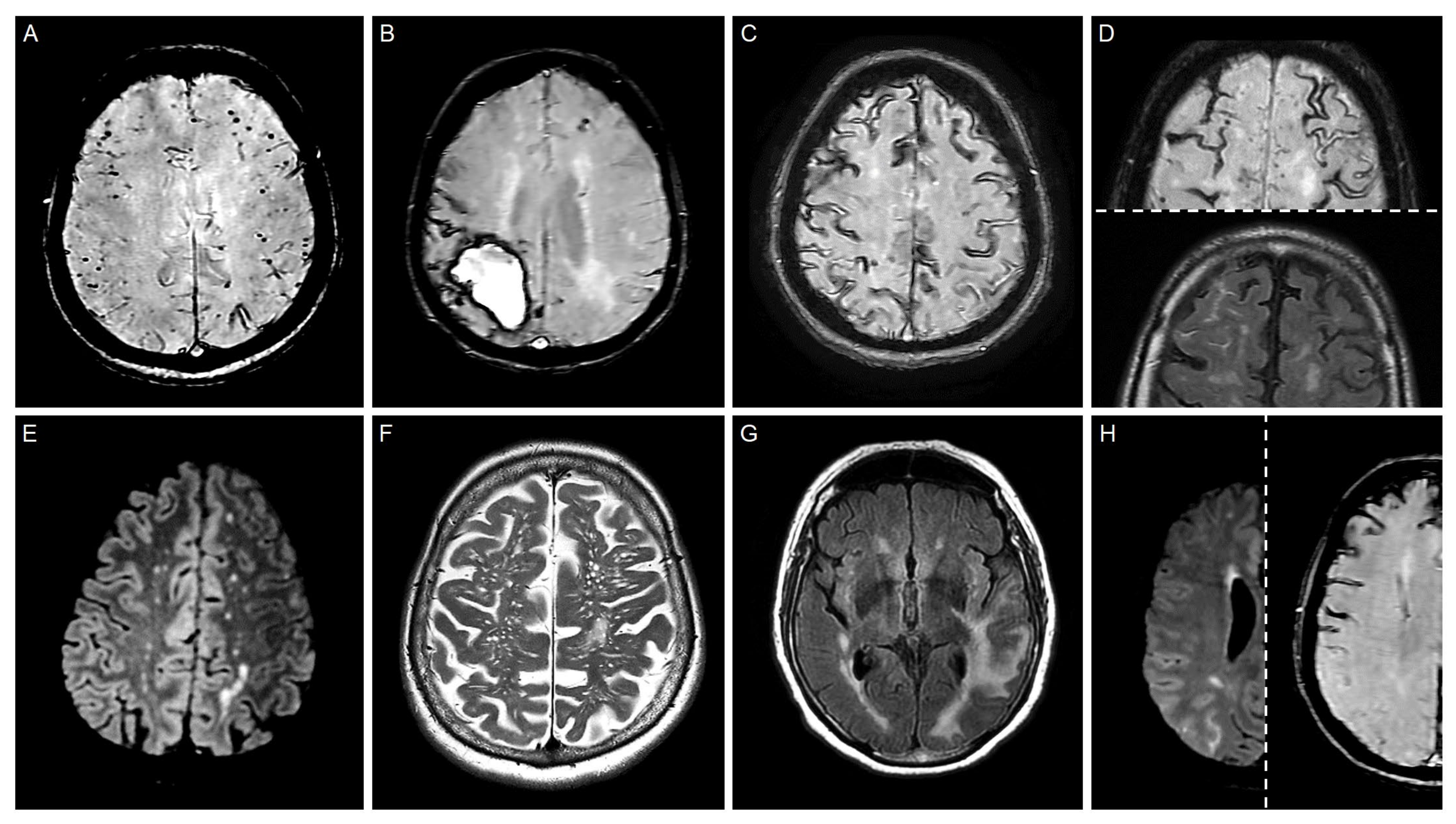 Life 15 01569 g002 Life 15 01569 g002