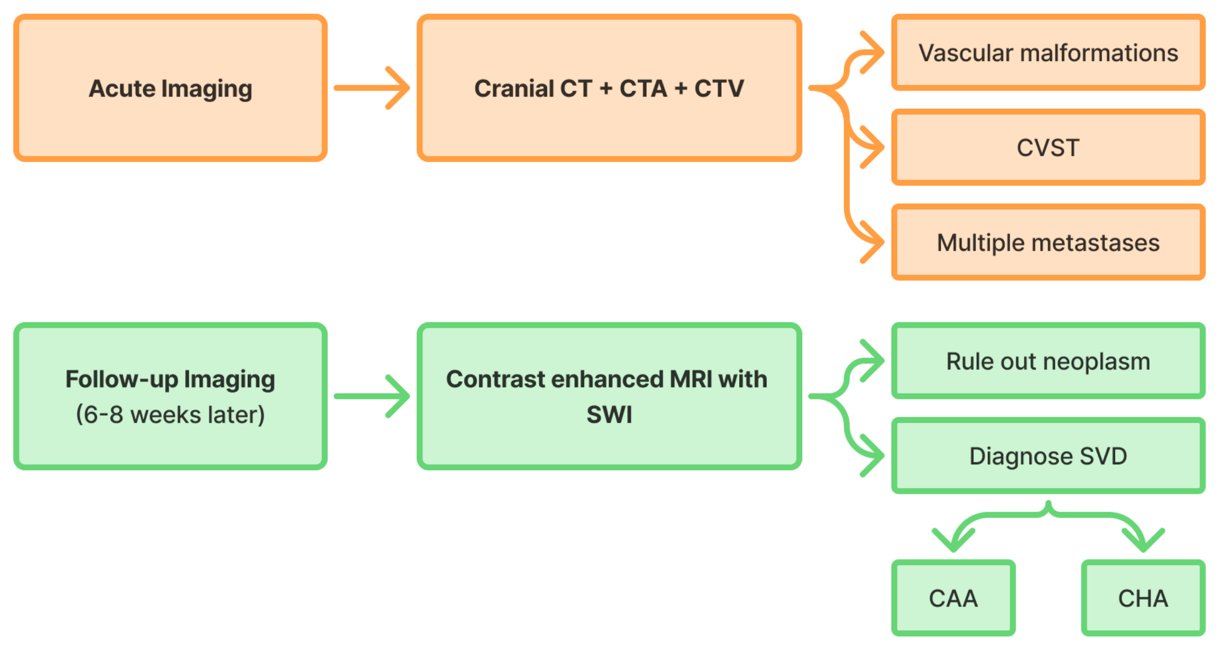 Life 15 01569 g004 Life 15 01569 g004