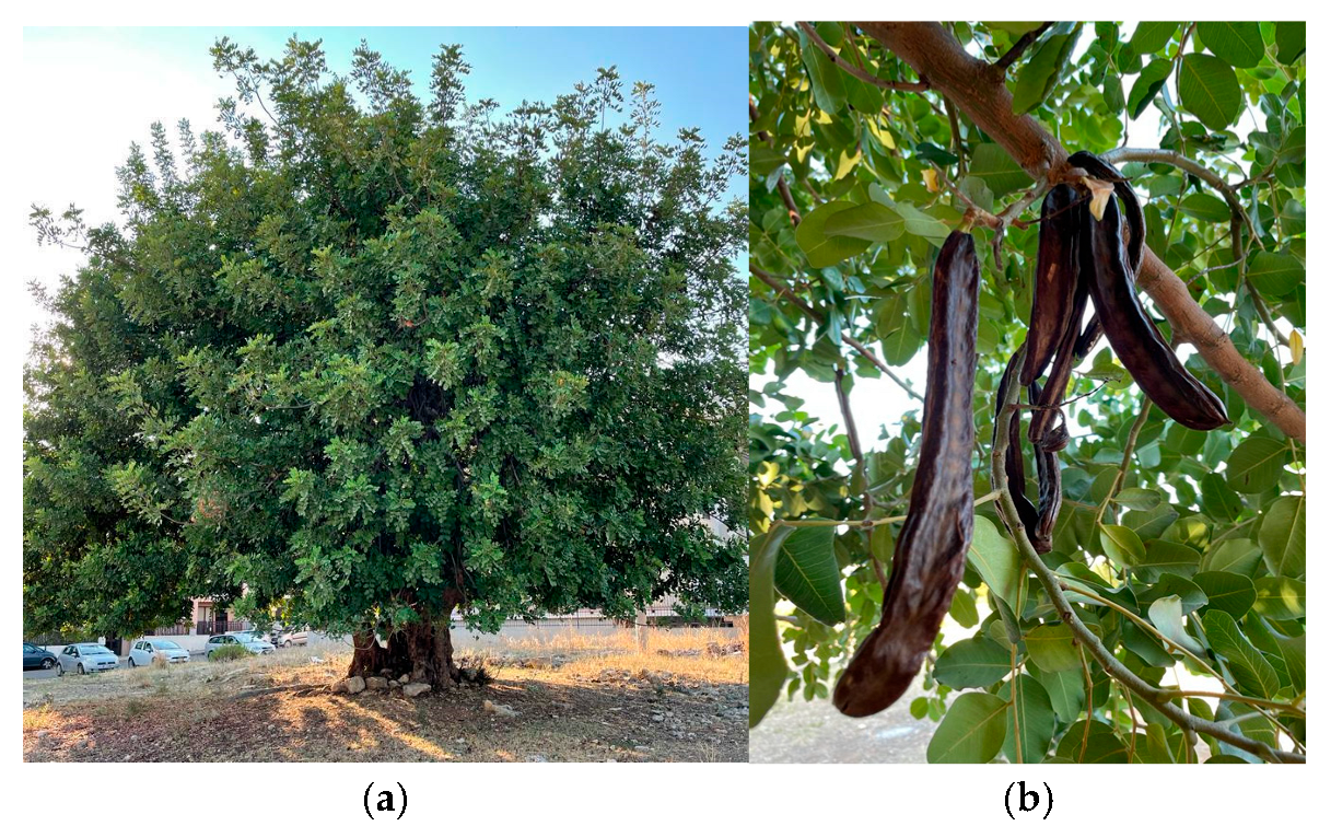 Life 15 01571 g001 Life 15 01571 g001