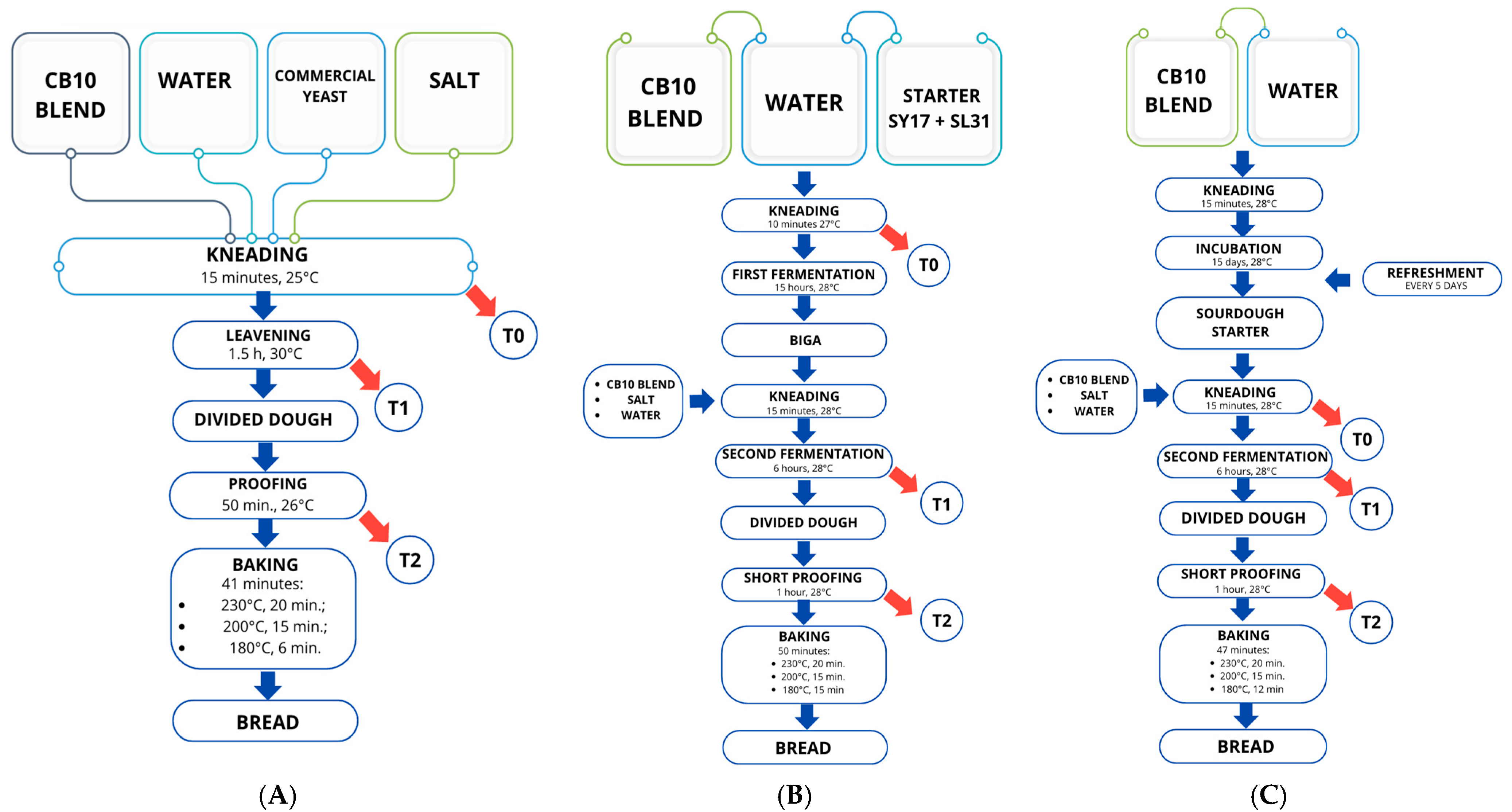 Life 15 01571 g002 Life 15 01571 g002