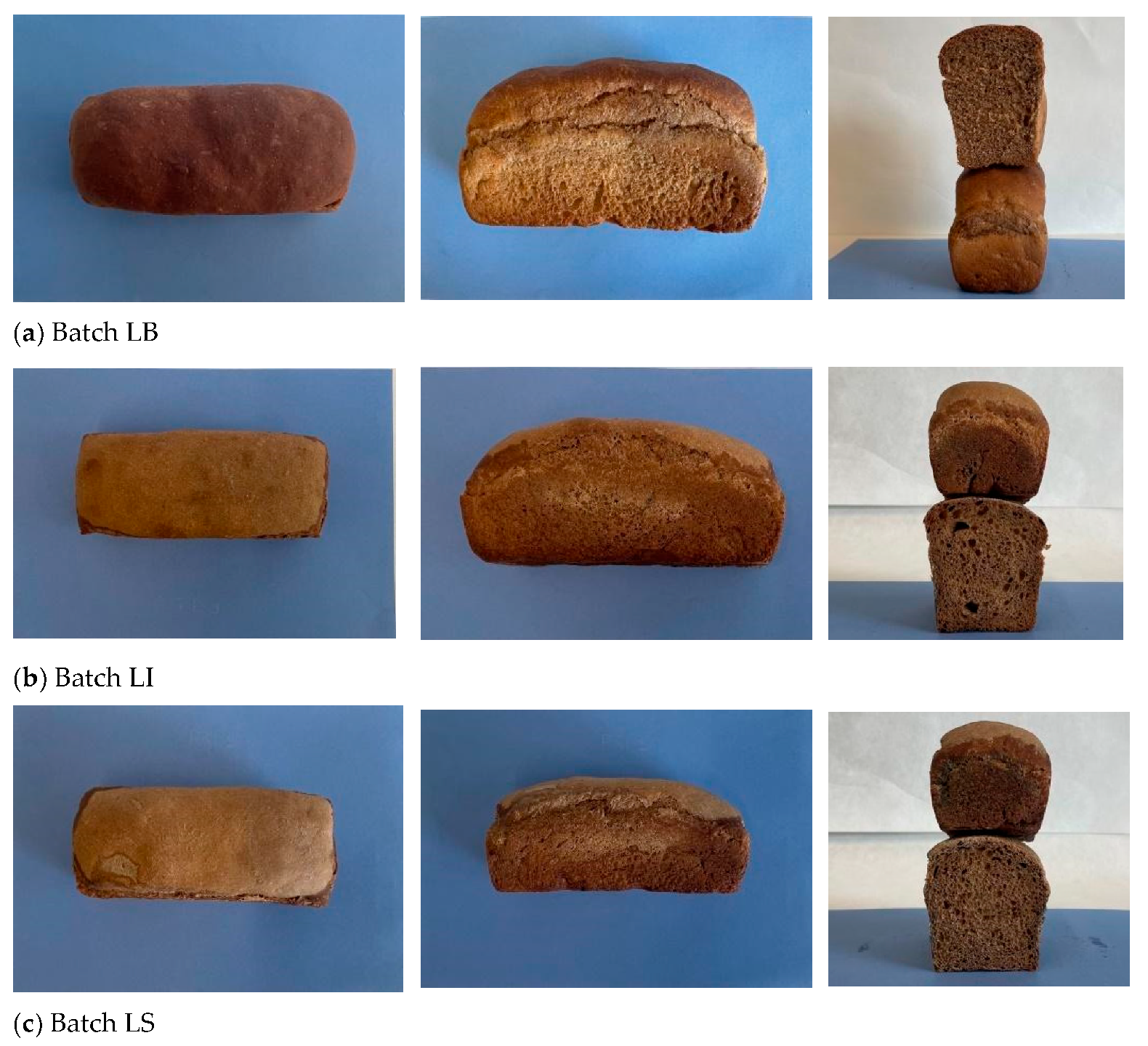 Life 15 01571 g004 Life 15 01571 g004