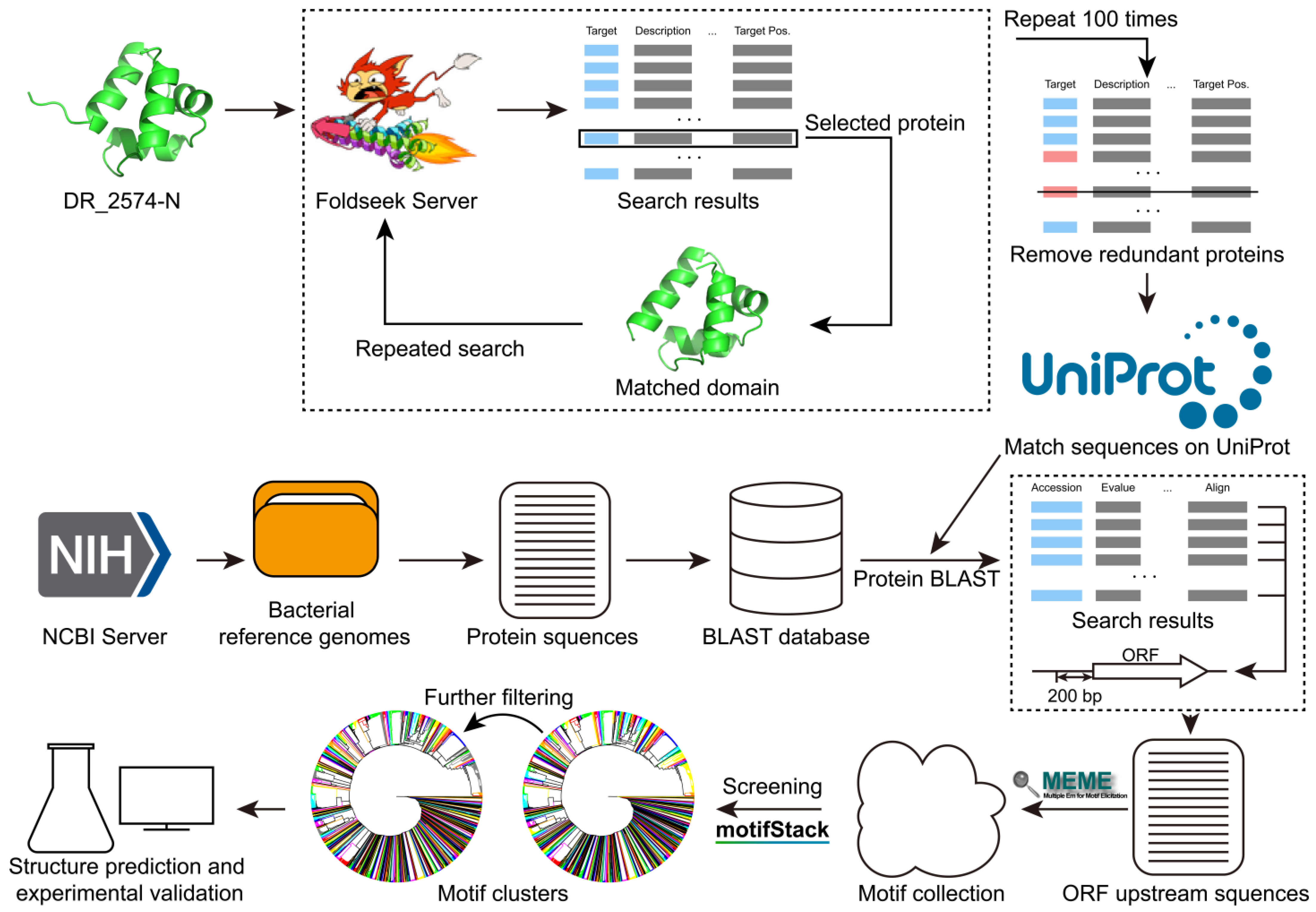Life 15 01577 g001 Life 15 01577 g001