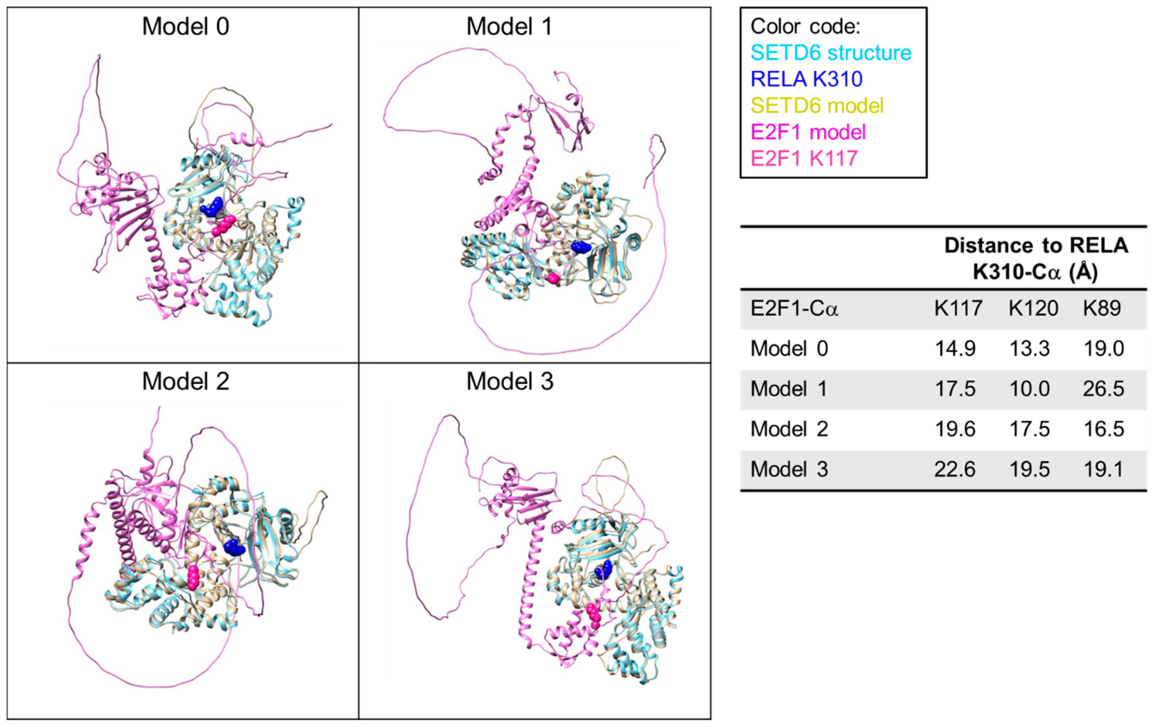 Life 15 01578 g001 Life 15 01578 g001