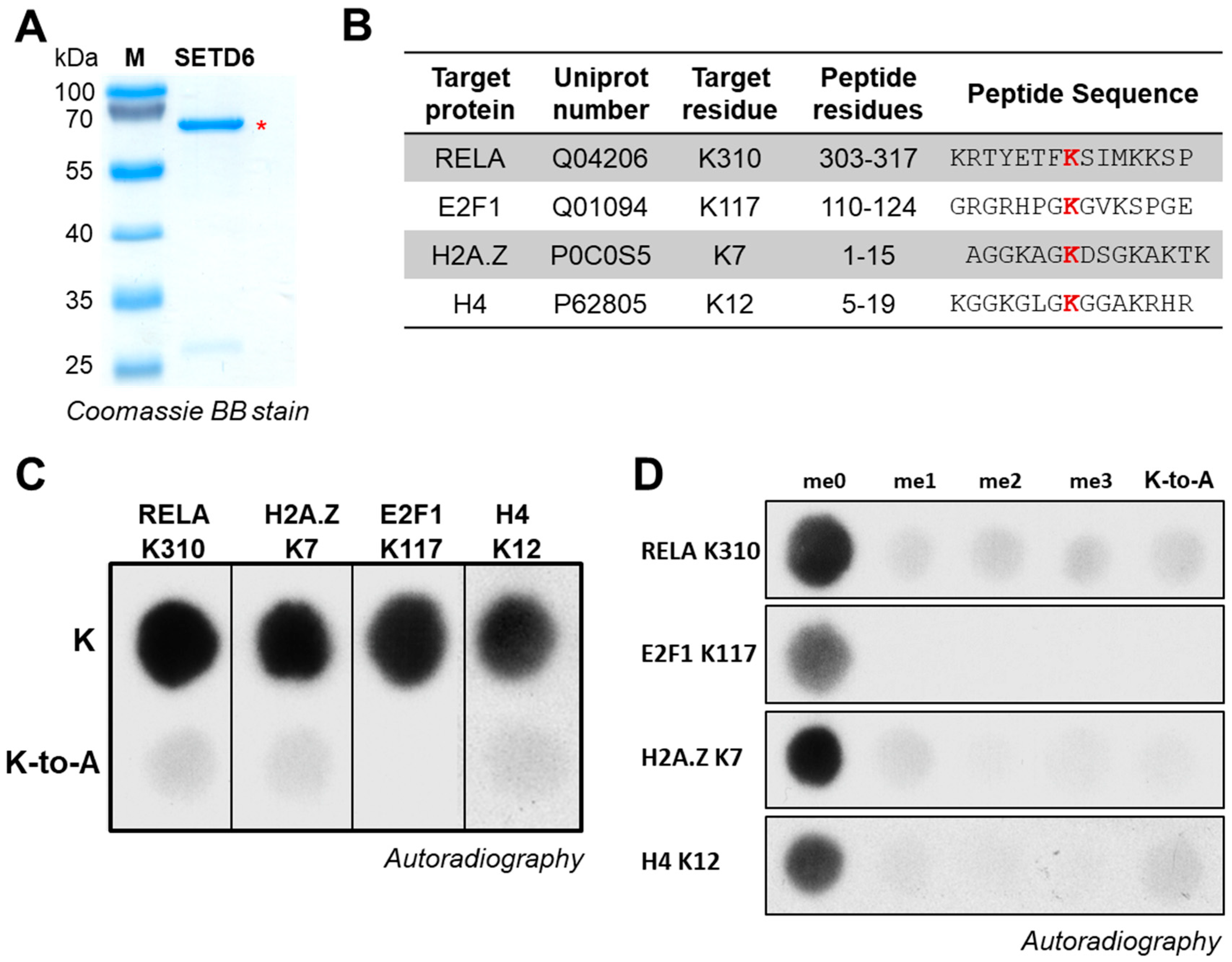 Life 15 01578 g002 Life 15 01578 g002
