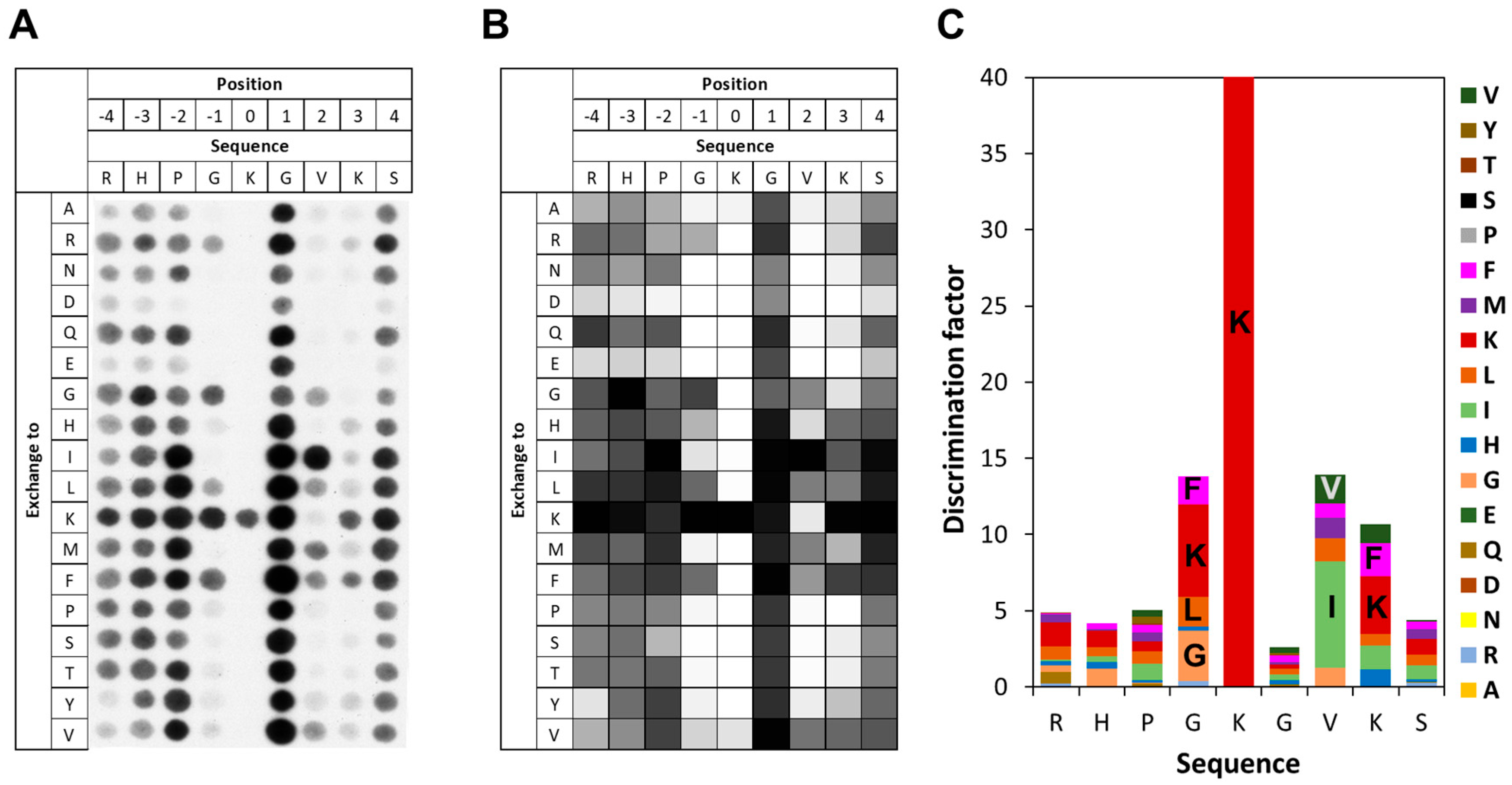 Life 15 01578 g003 Life 15 01578 g003
