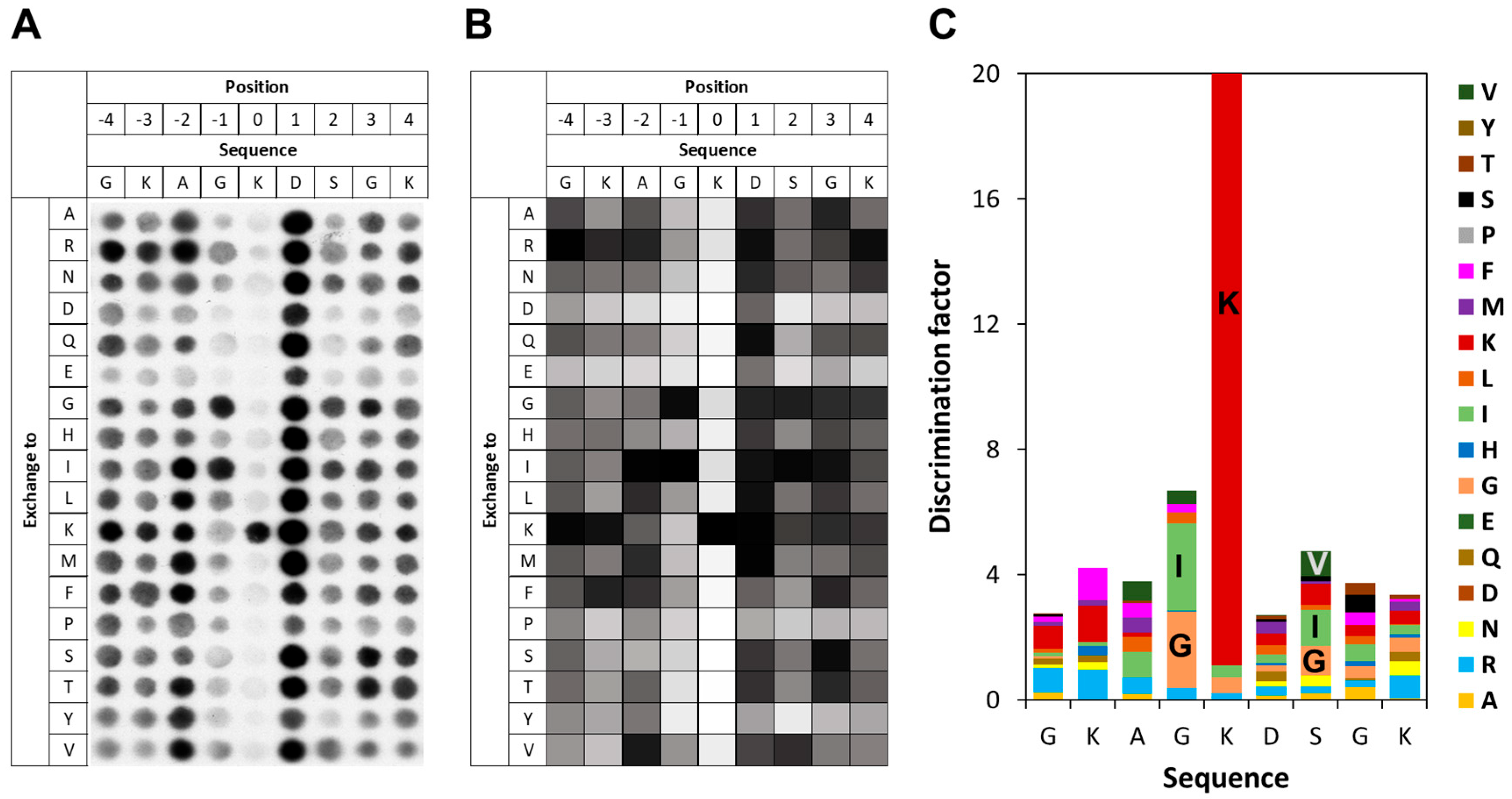 Life 15 01578 g004 Life 15 01578 g004