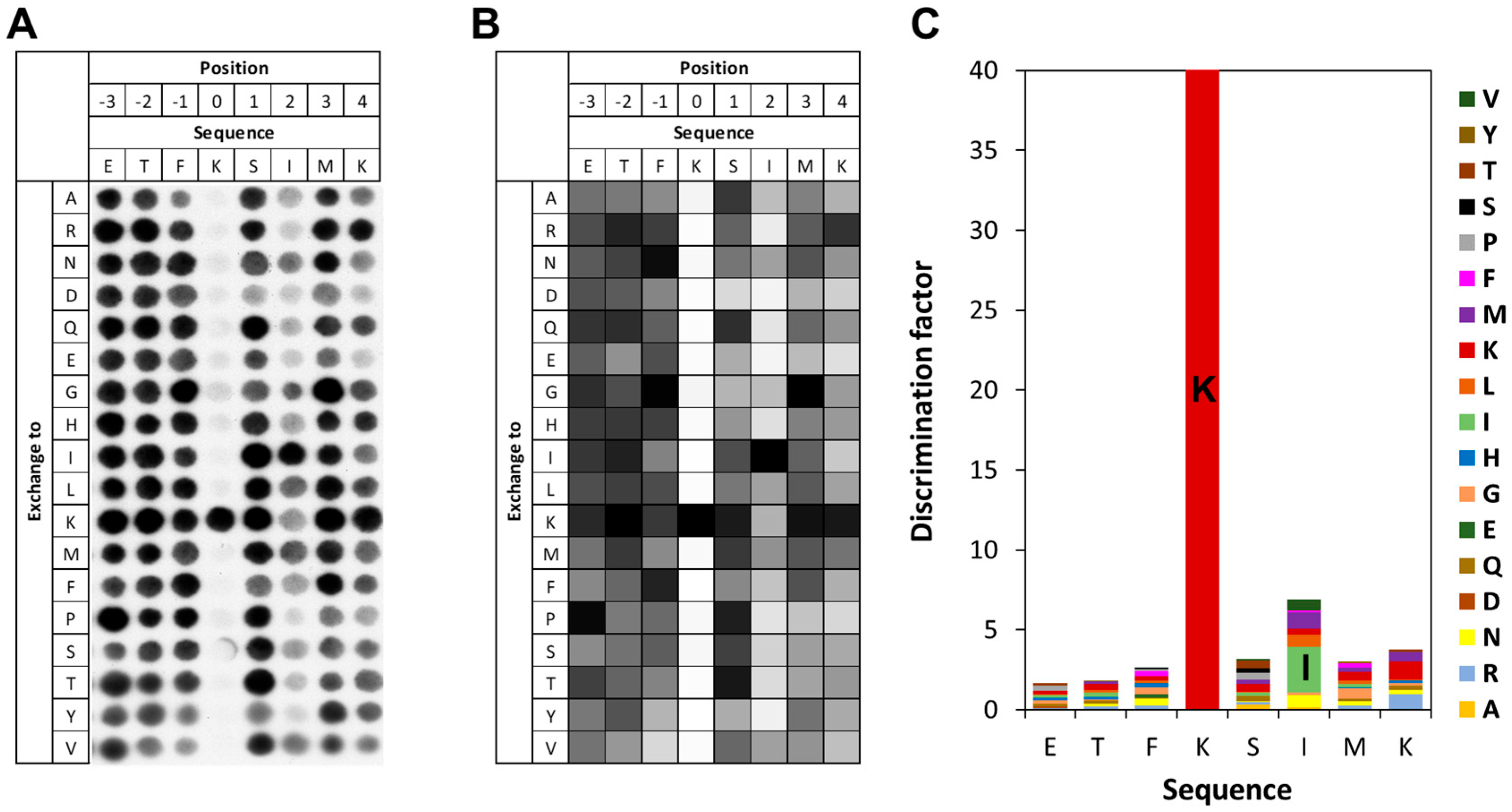 Life 15 01578 g005 Life 15 01578 g005