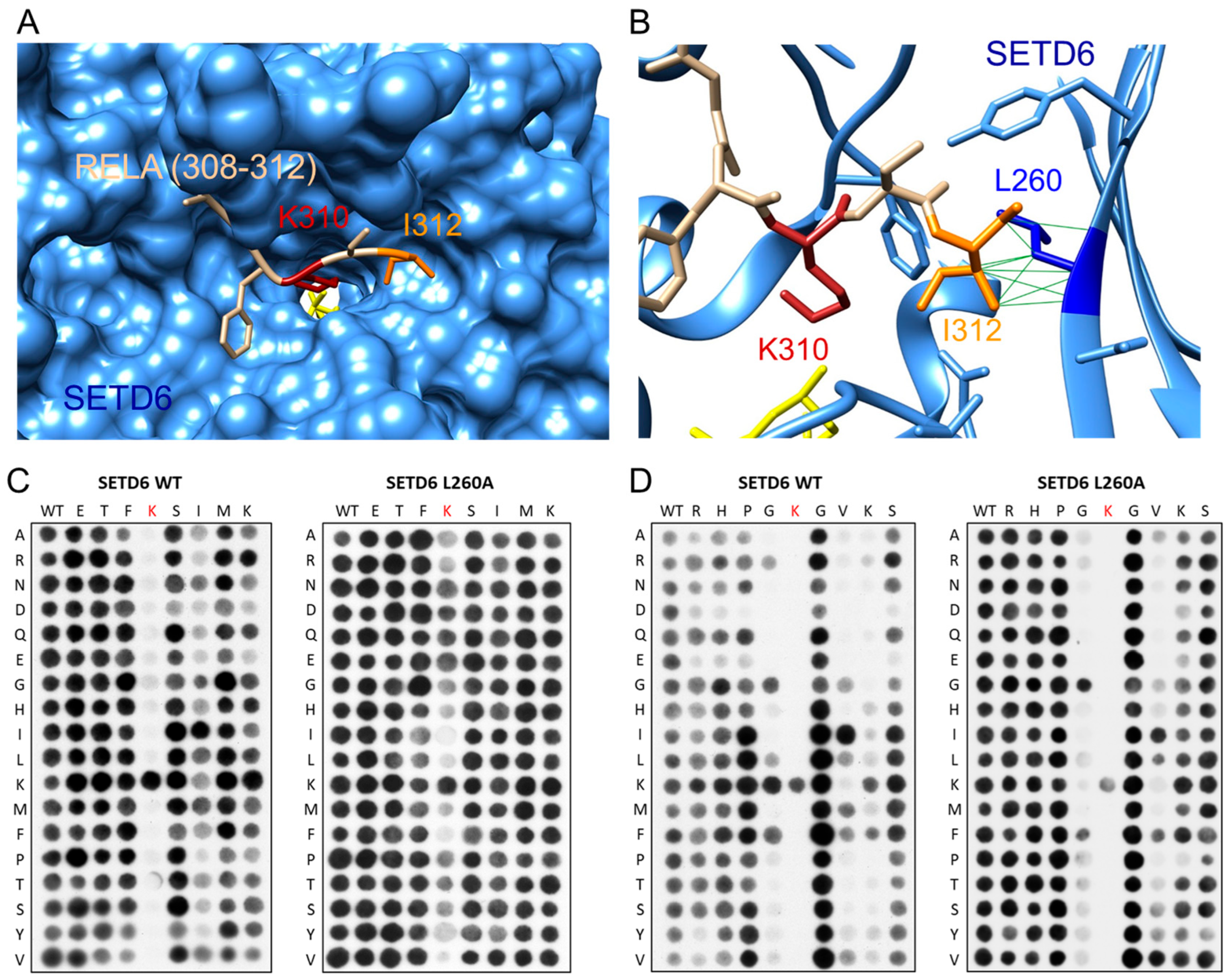 Life 15 01578 g007 Life 15 01578 g007