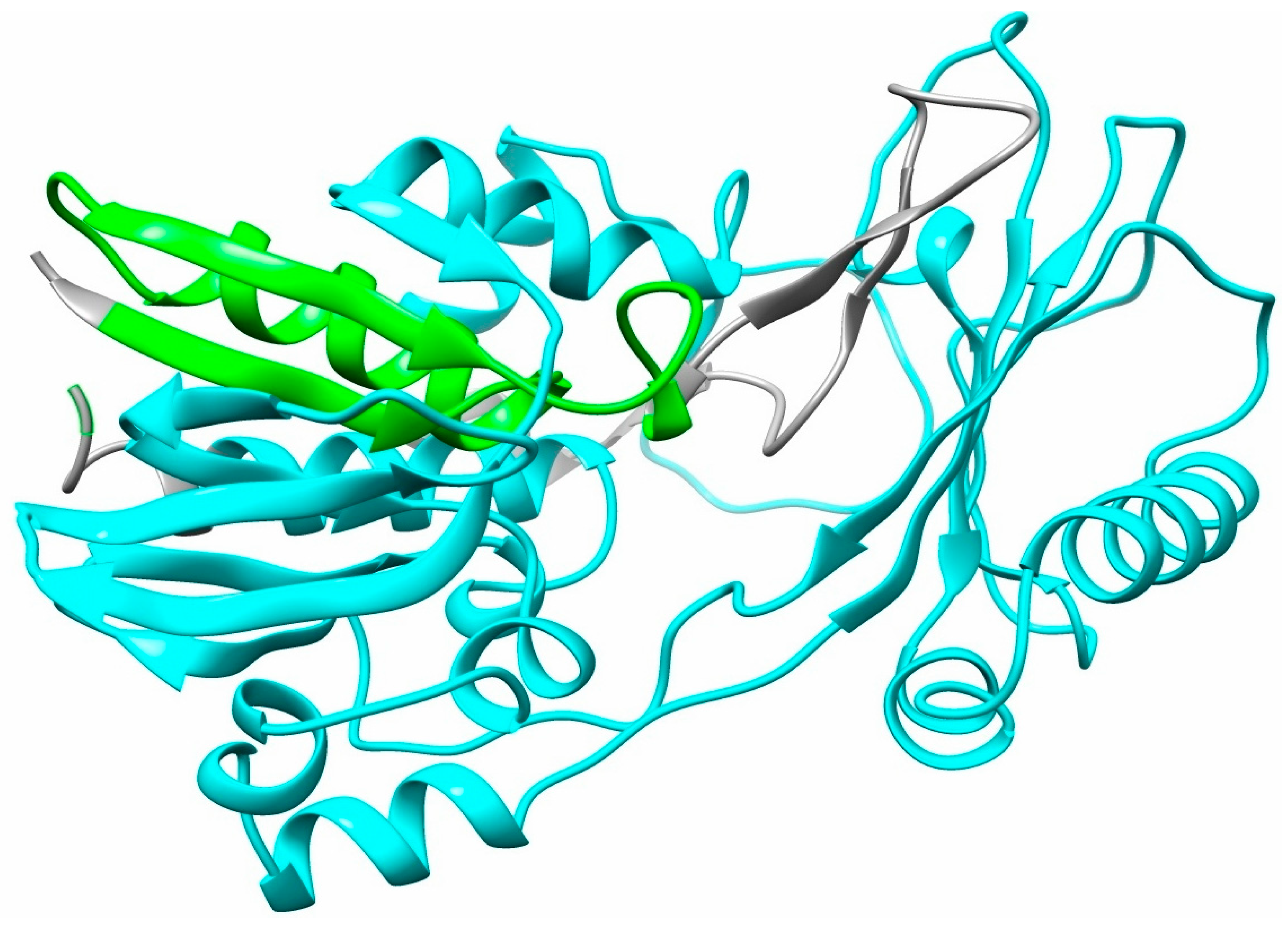 Life 15 01581 g001 Life 15 01581 g001