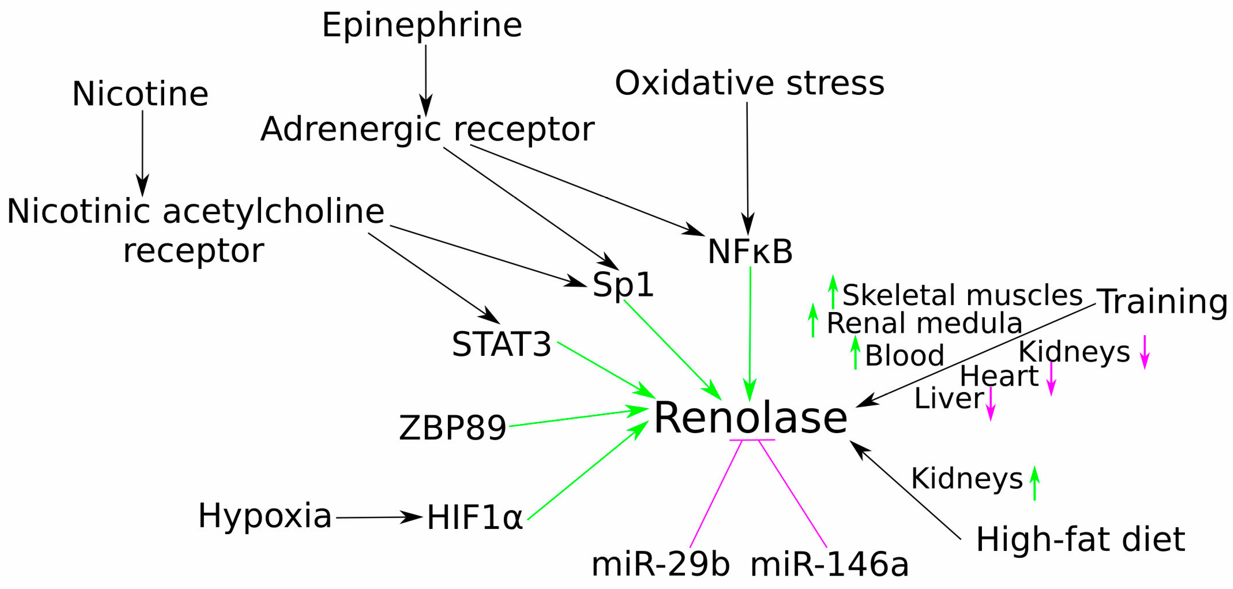 Life 15 01581 g002 Life 15 01581 g002