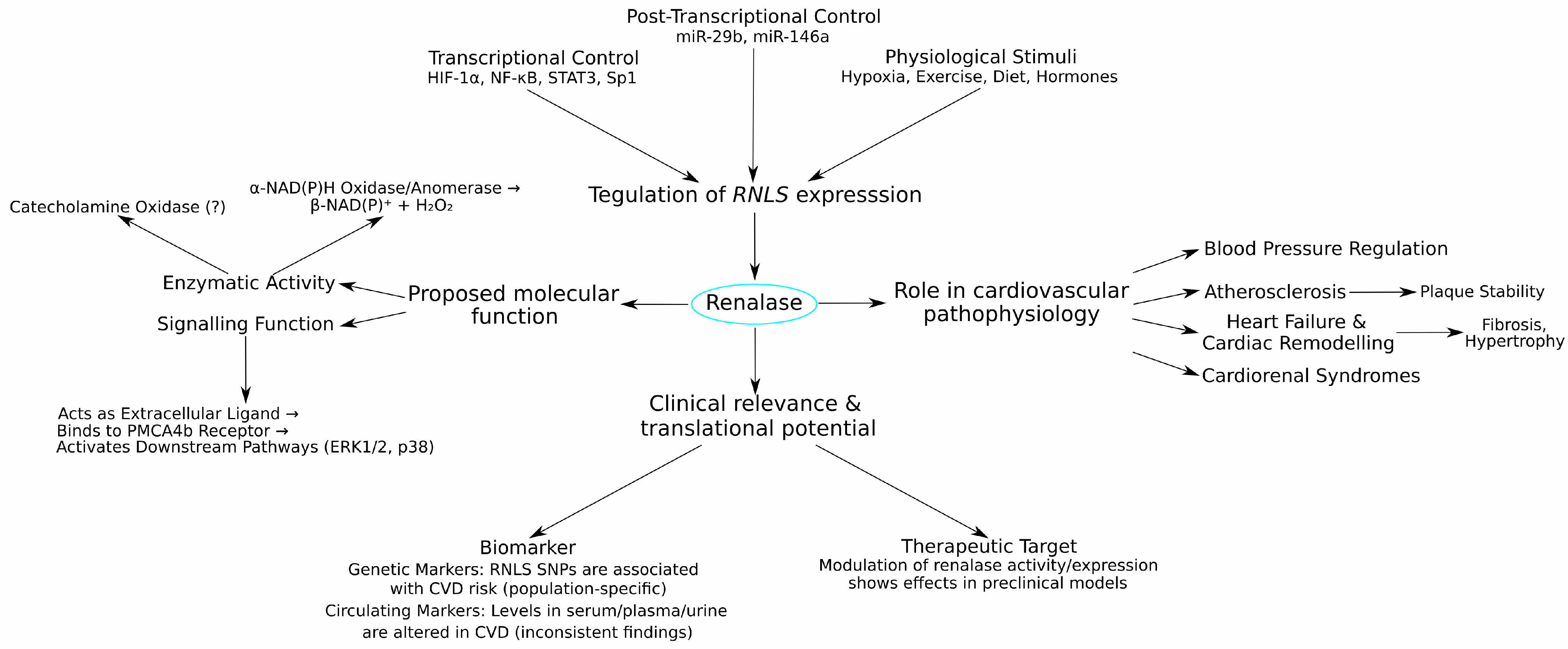 Life 15 01581 g003 Life 15 01581 g003