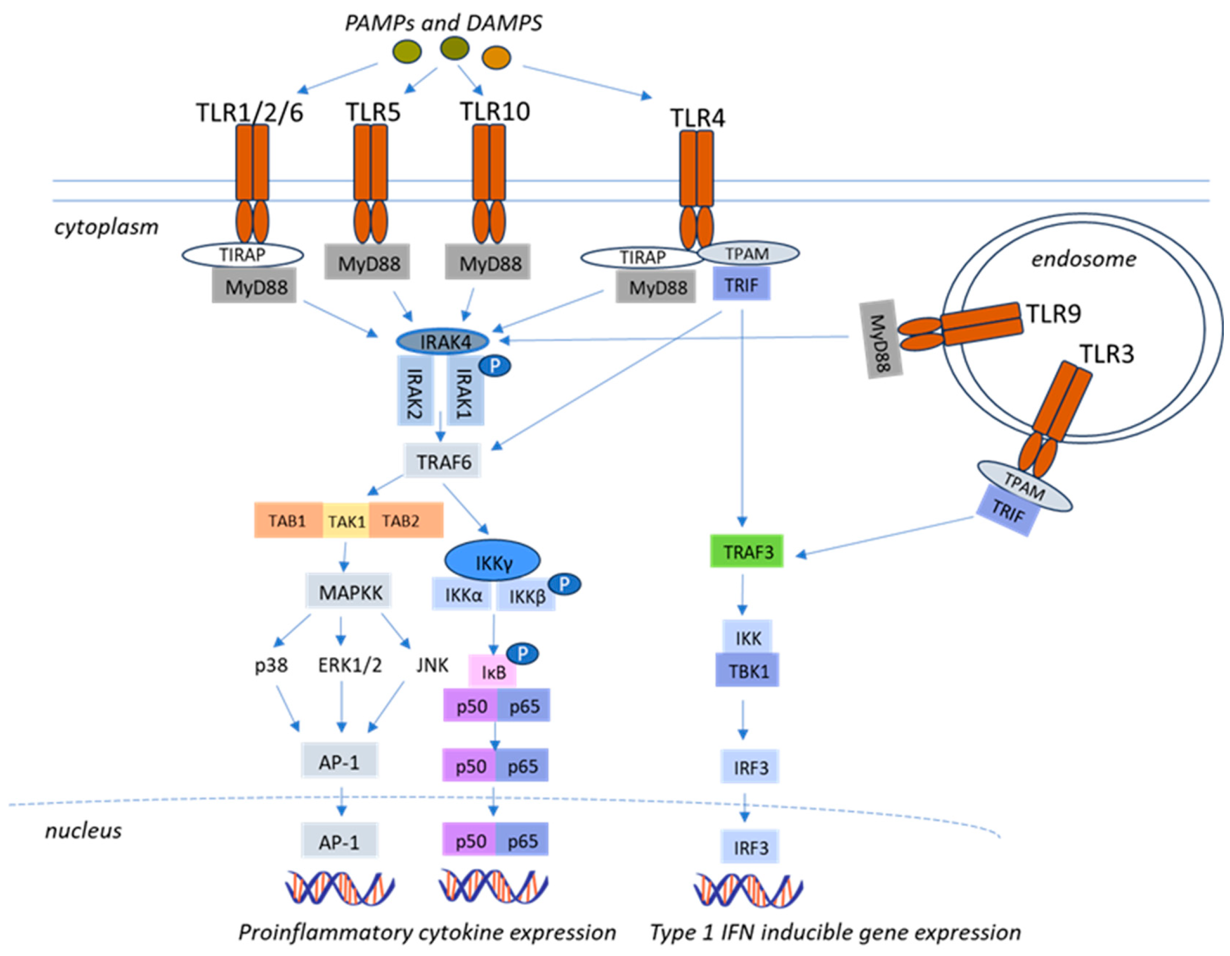 Life 15 01582 g001 Life 15 01582 g001