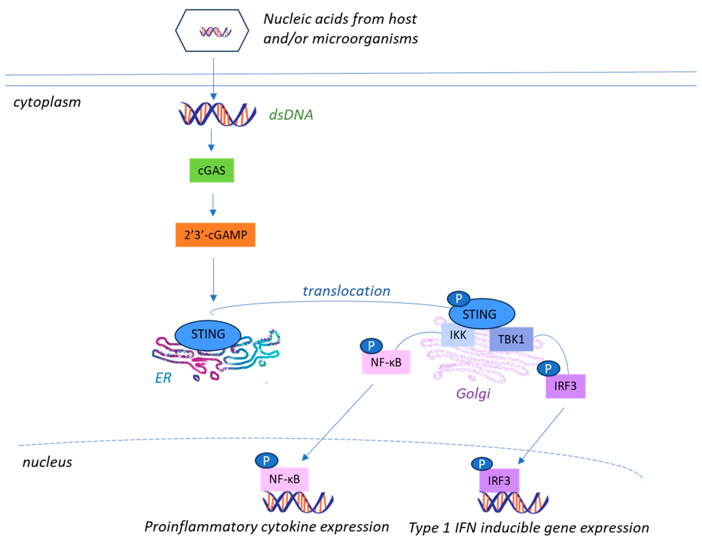 Life 15 01582 g002 Life 15 01582 g002