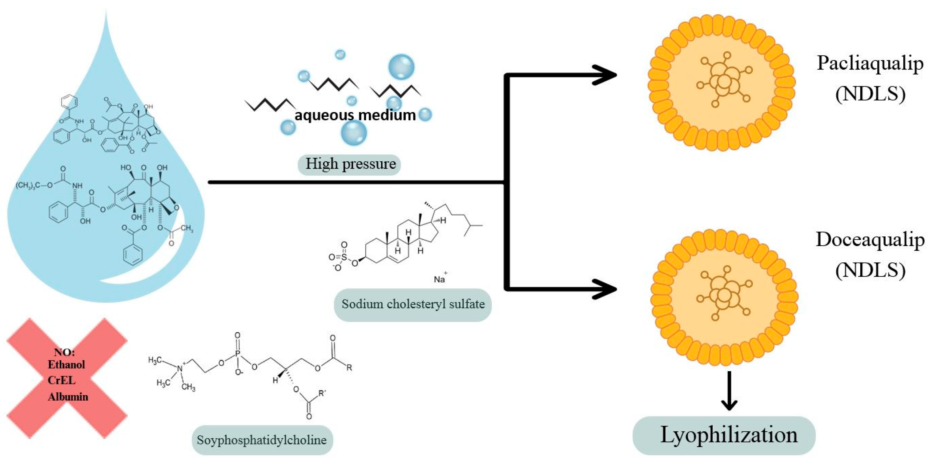 Life 15 01583 g004 Life 15 01583 g004