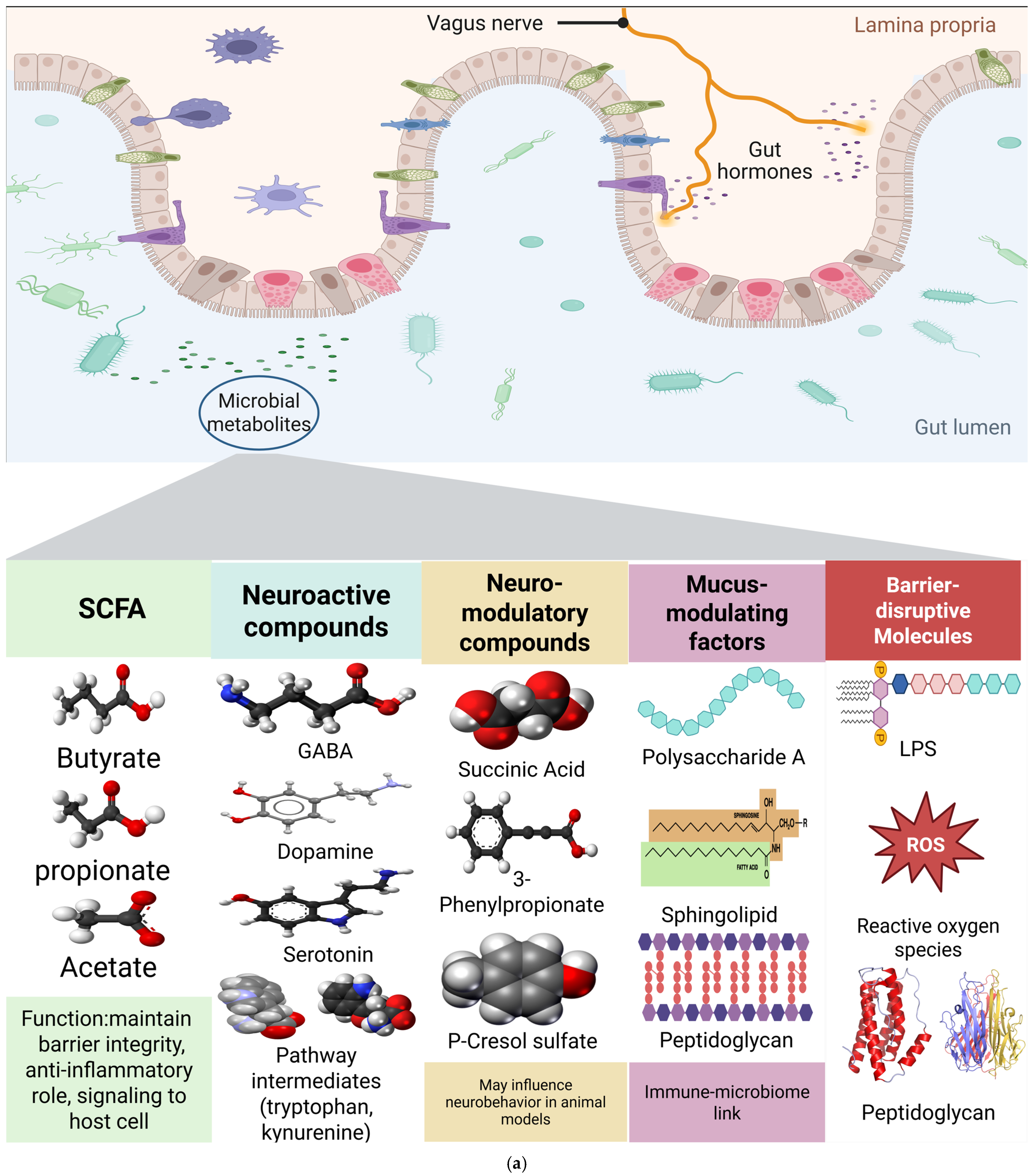 Life 15 01585 g003a Life 15 01585 g003a